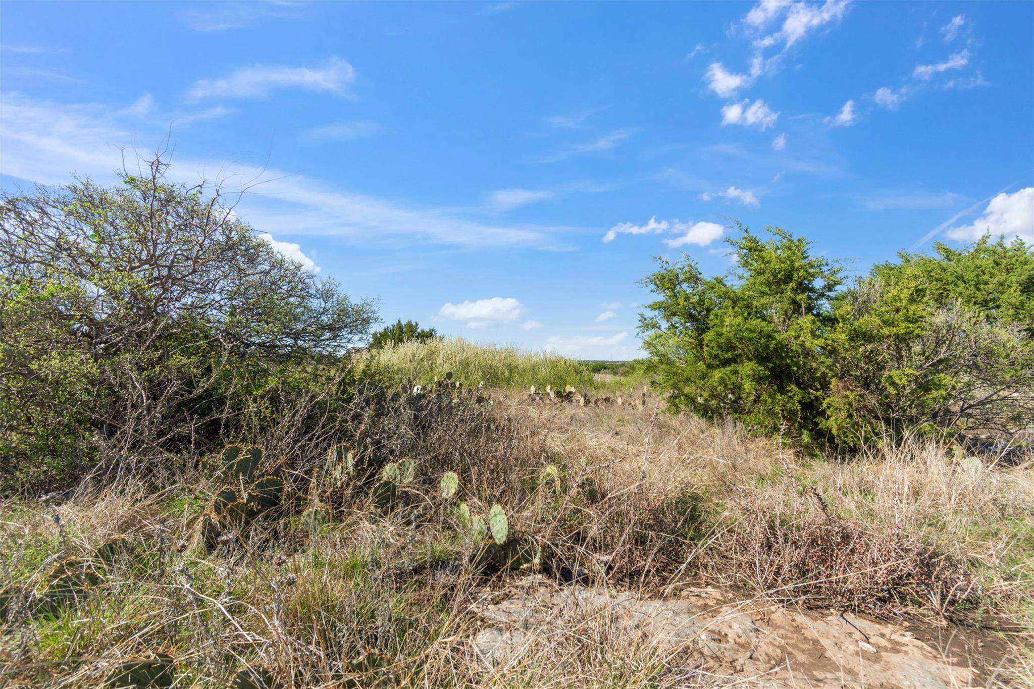Lot 65 Three Creeks DR, Bertram, TX 78605
