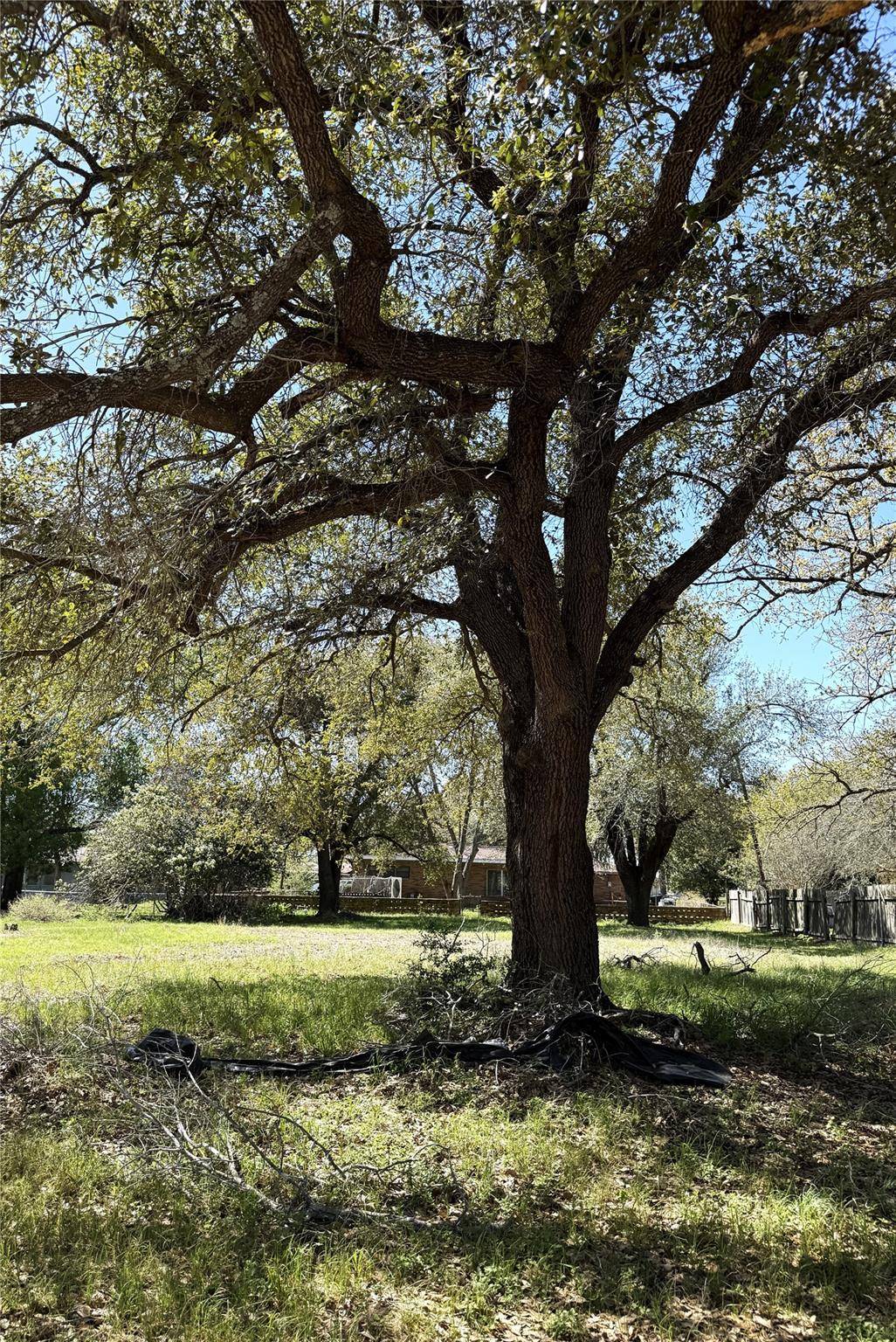 Address not disclosed, Rockdale, TX 76567