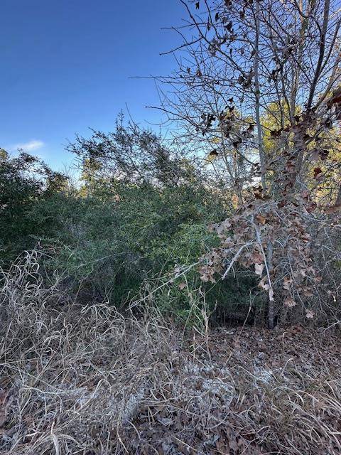 0 TBD Kula CT, Bastrop, TX 78602
