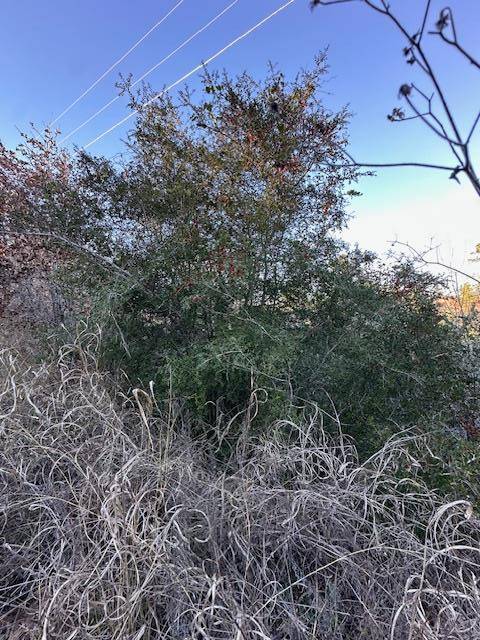 0 TBD Kula CT, Bastrop, TX 78602