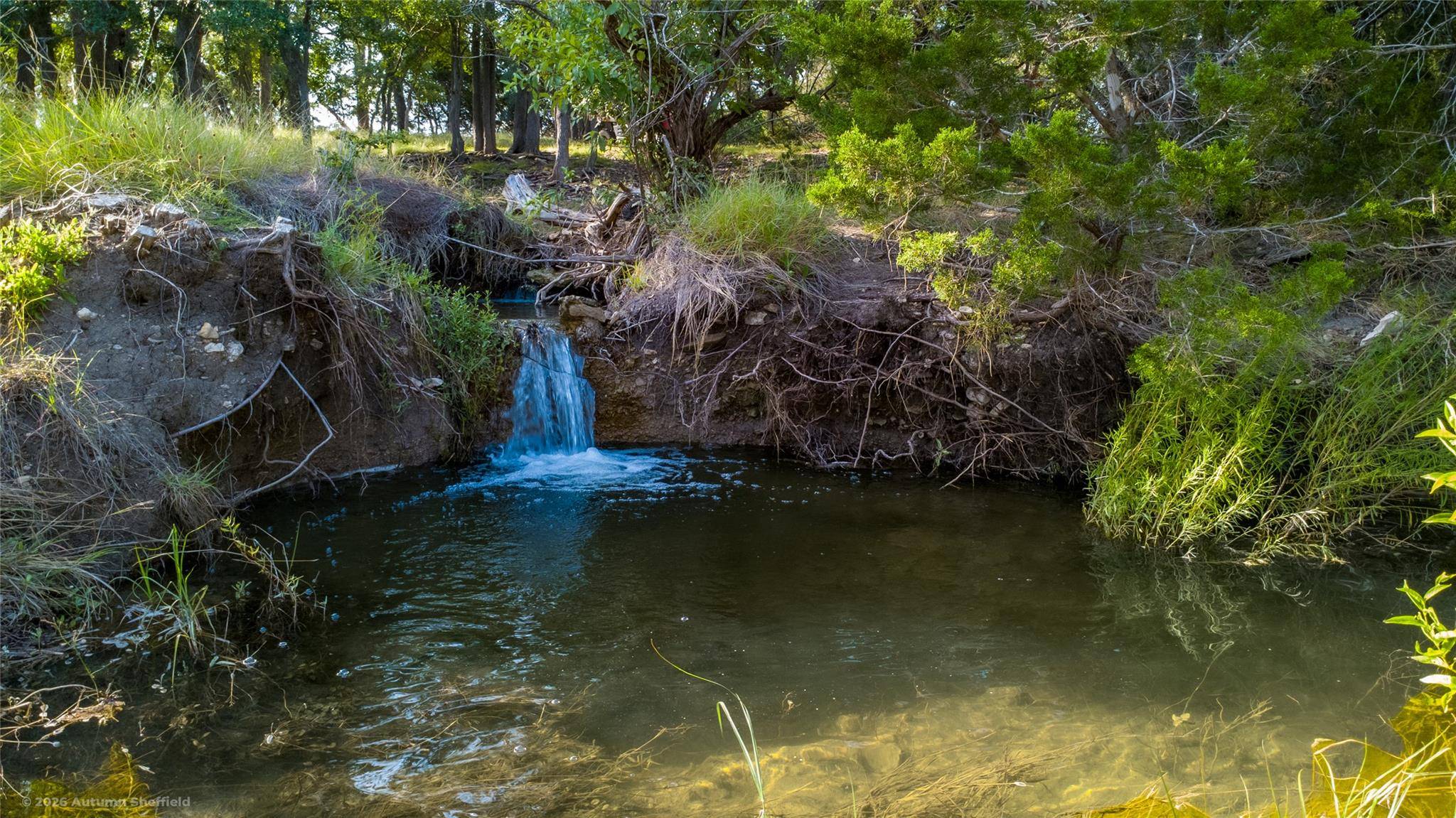 3259 Schumann RD, Stonewall, TX 78671