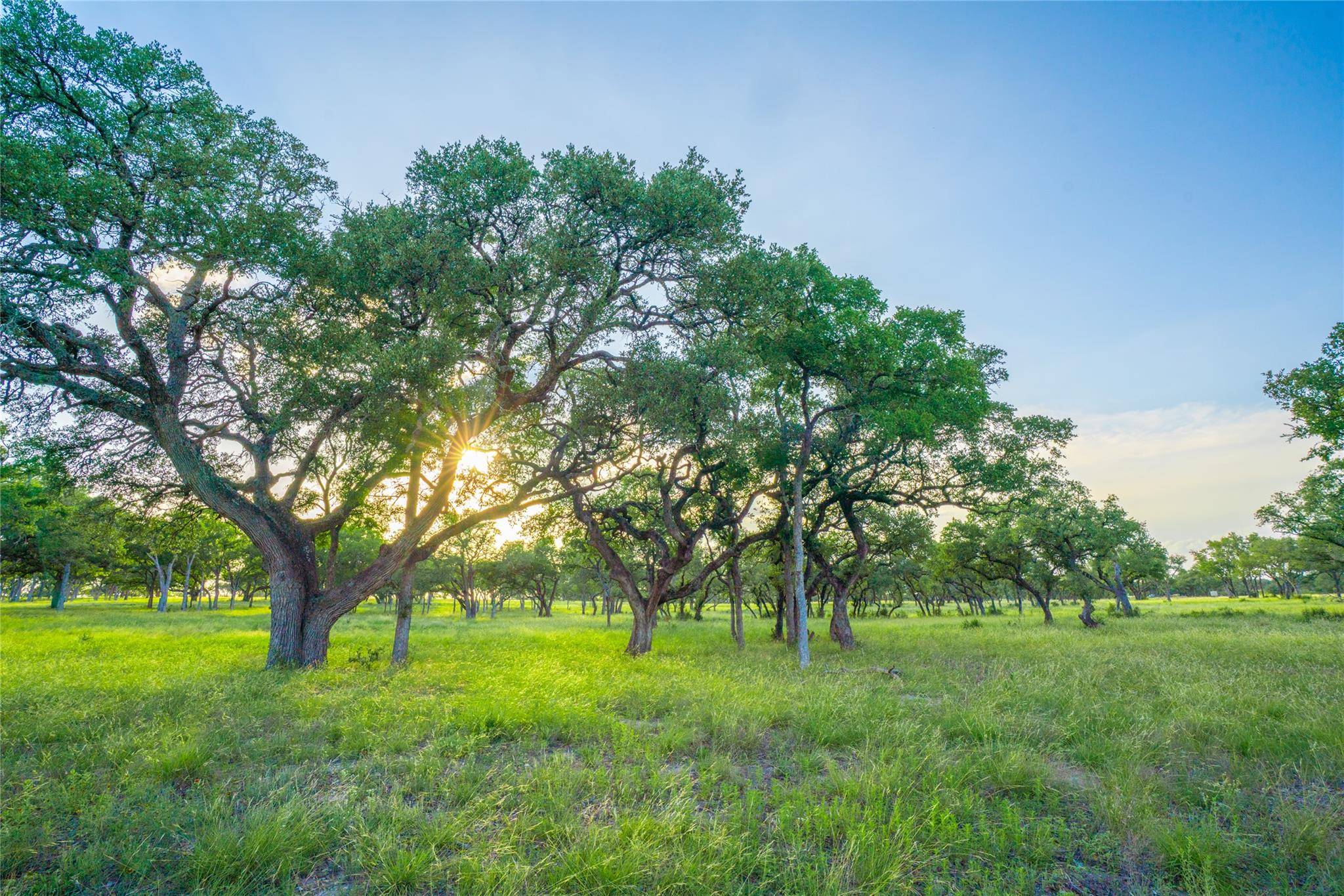 000 Twisted Vine RNCH, Johnson City, TX 78636