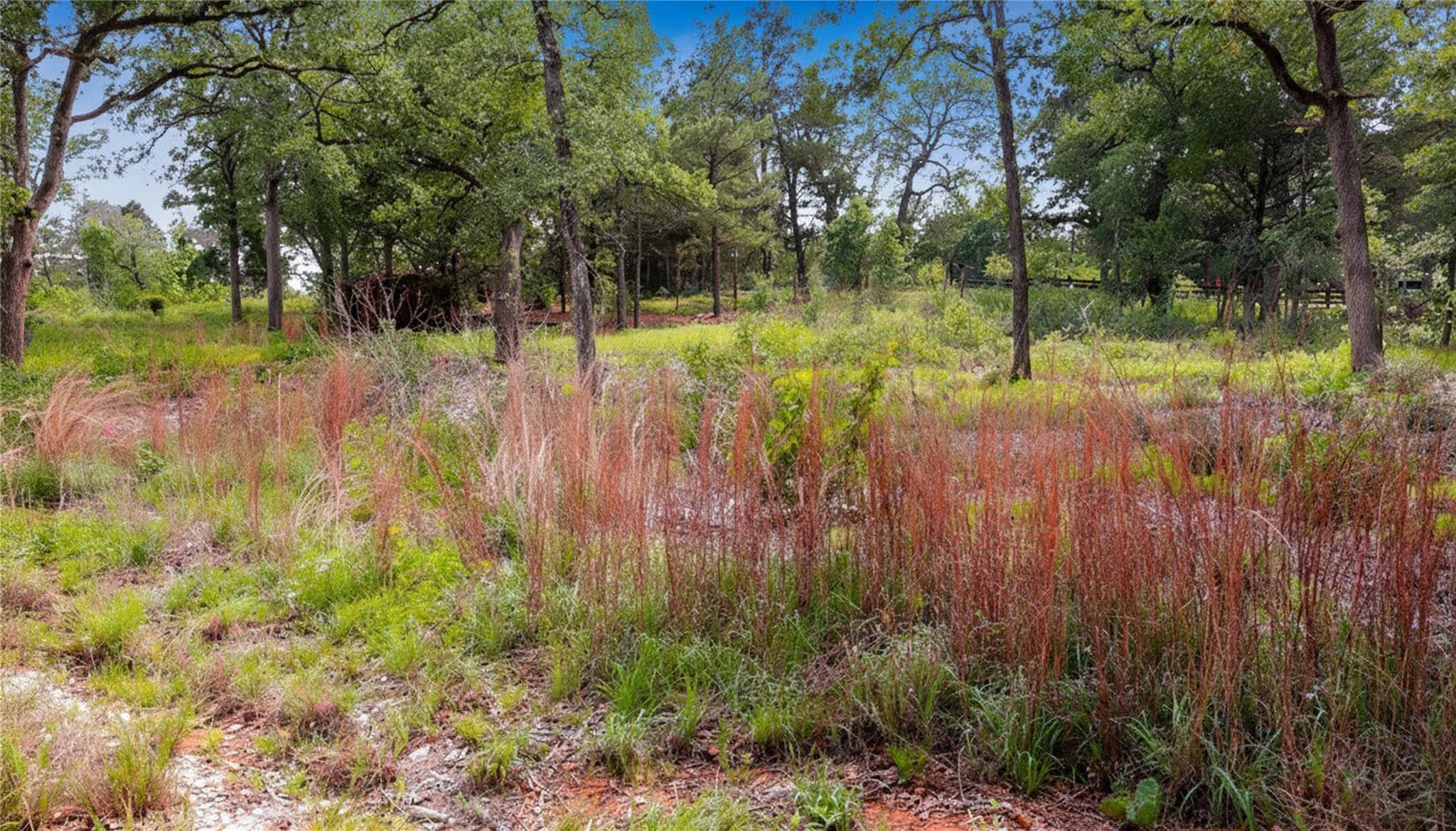 200 Cheyenne DR, Smithville, TX 78957