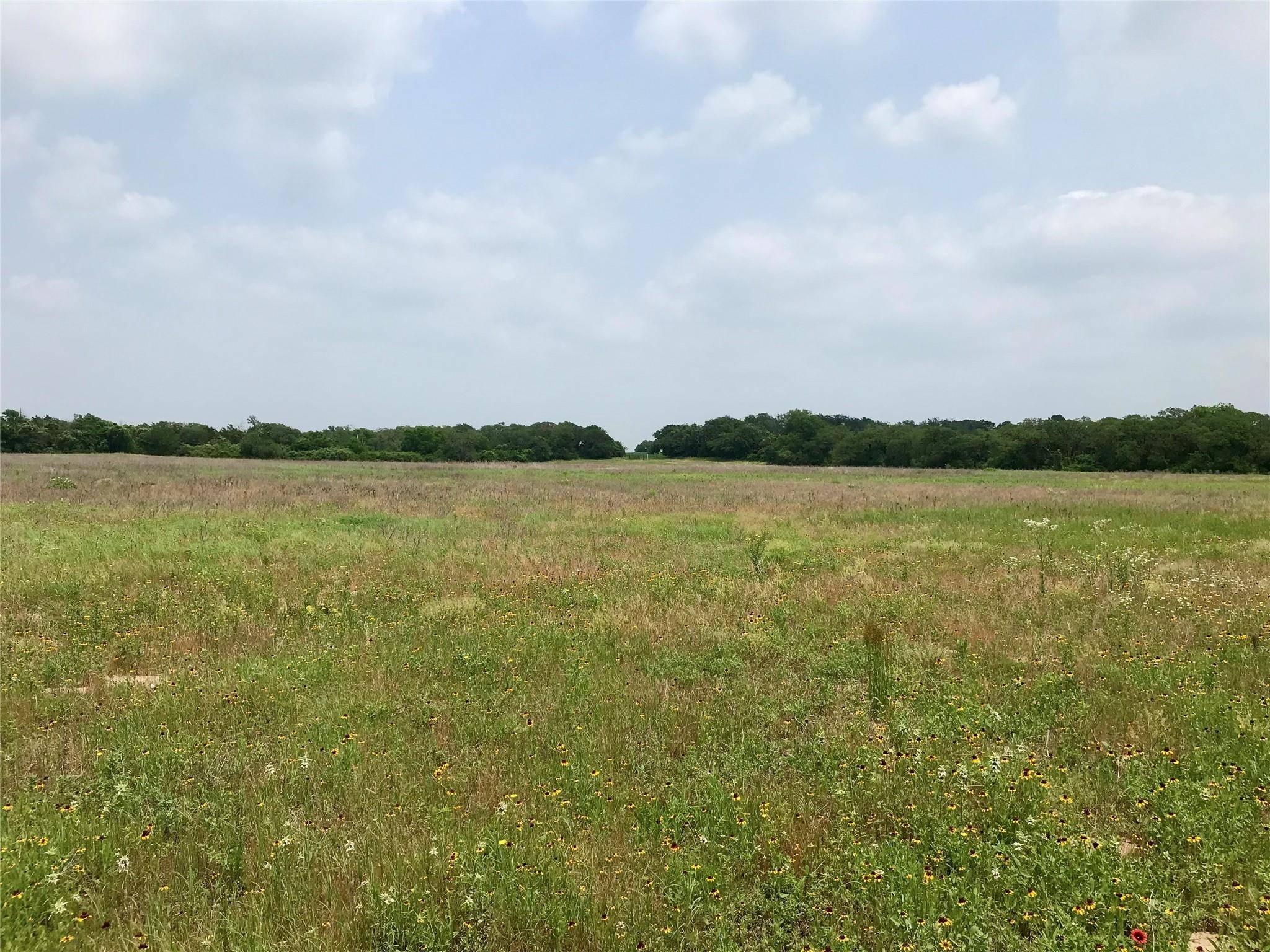 1672 Sayers Tract 4 RD, Bastrop, TX 78602