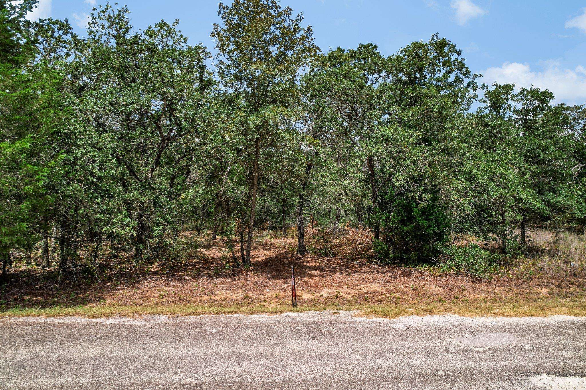 TBD Christensen RD, Elgin, TX 78621