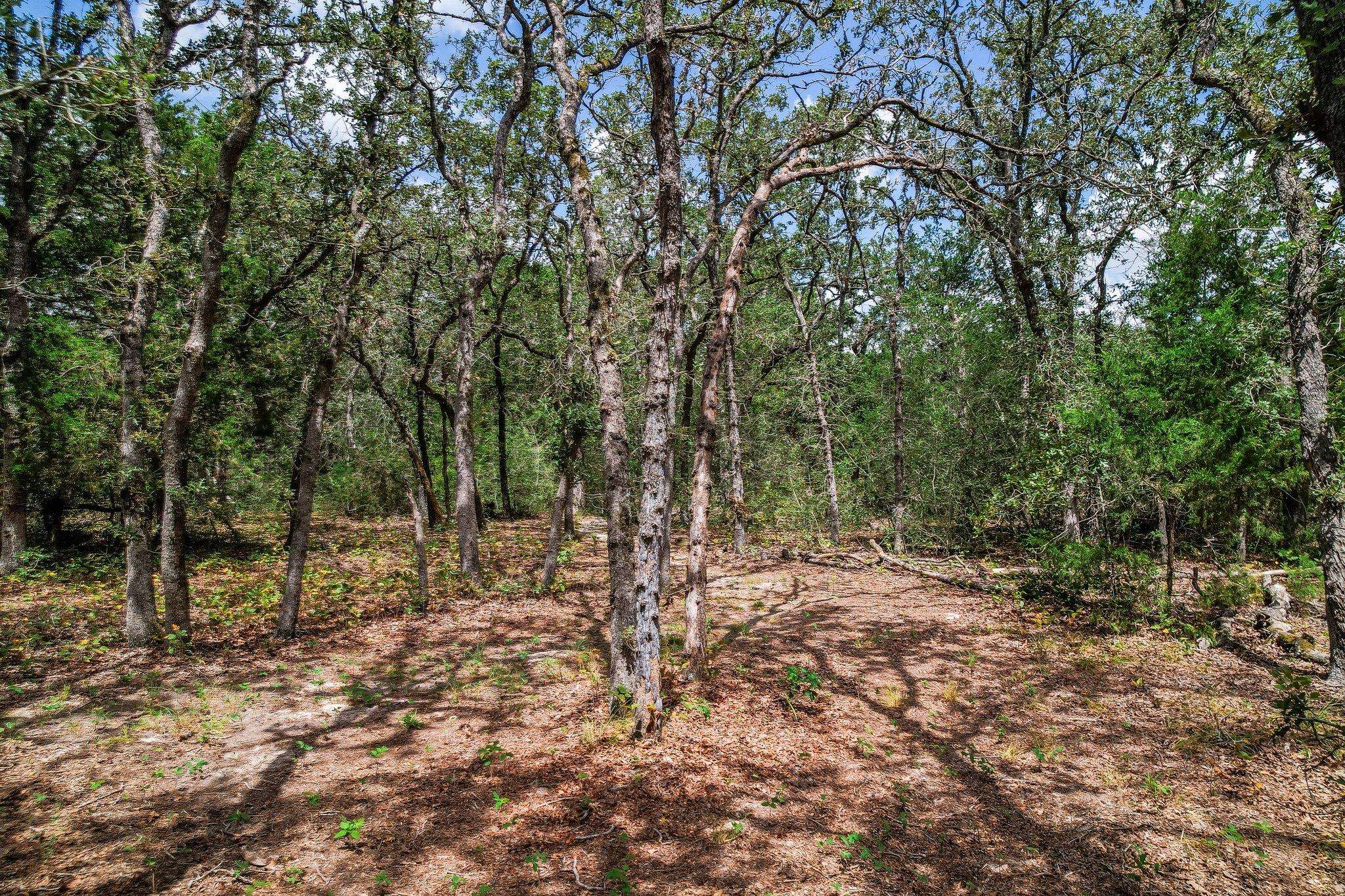 TBD Christensen RD, Elgin, TX 78621