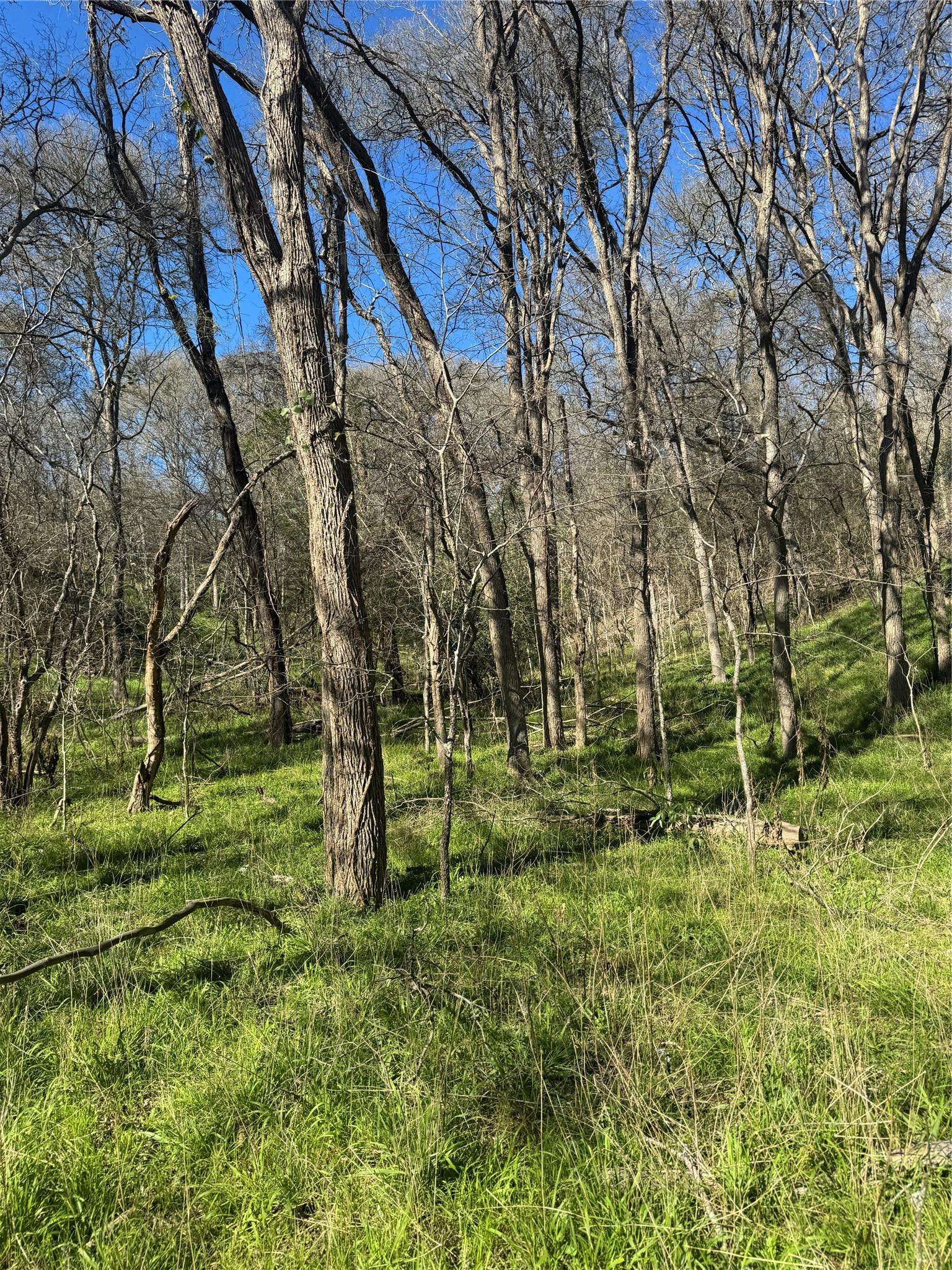 Lots 638. 639. 640 Kaukonahua LN, Bastrop, TX 78602