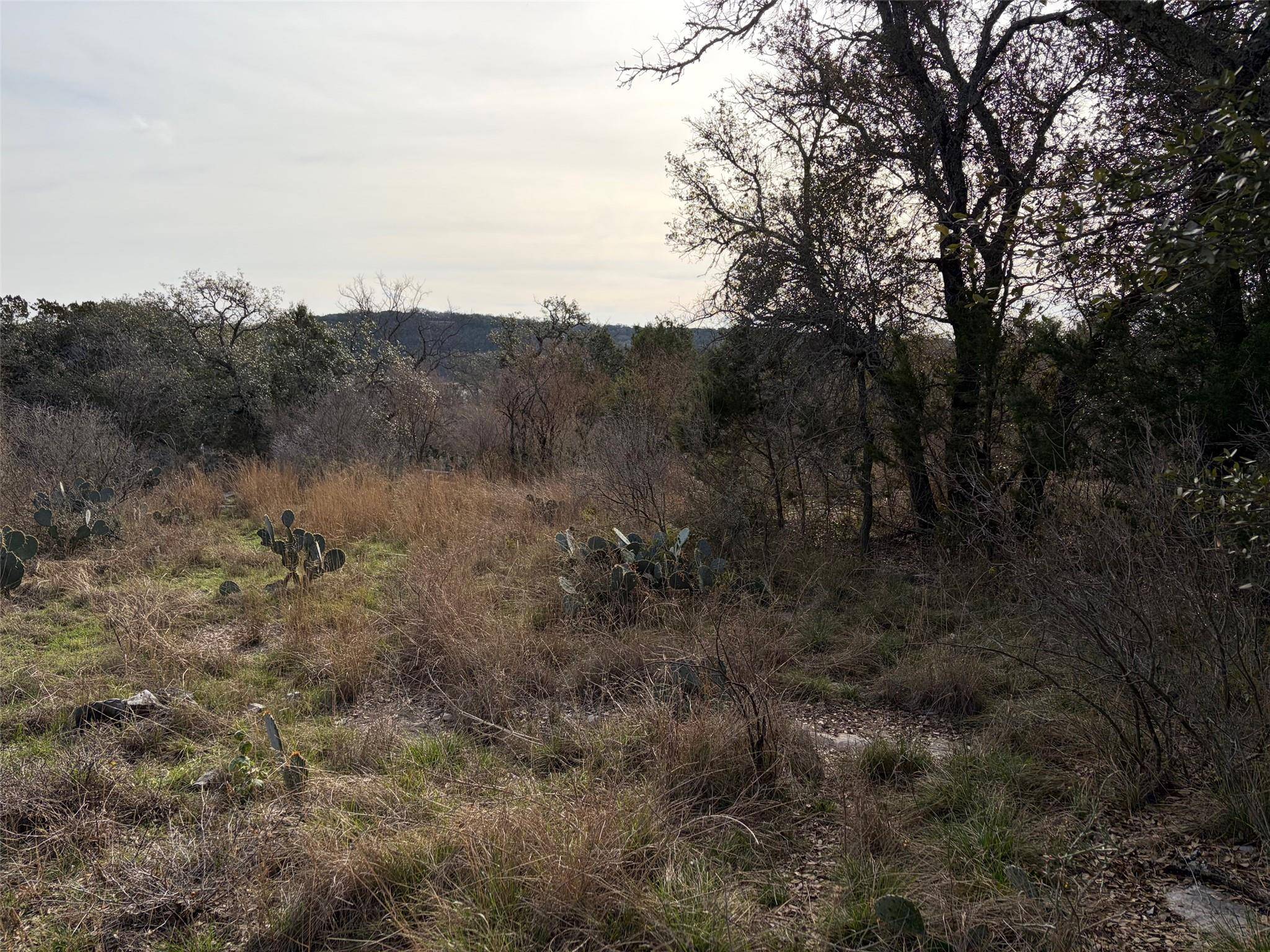 Lot 34 Lakeside DR, Spicewood, TX 78669