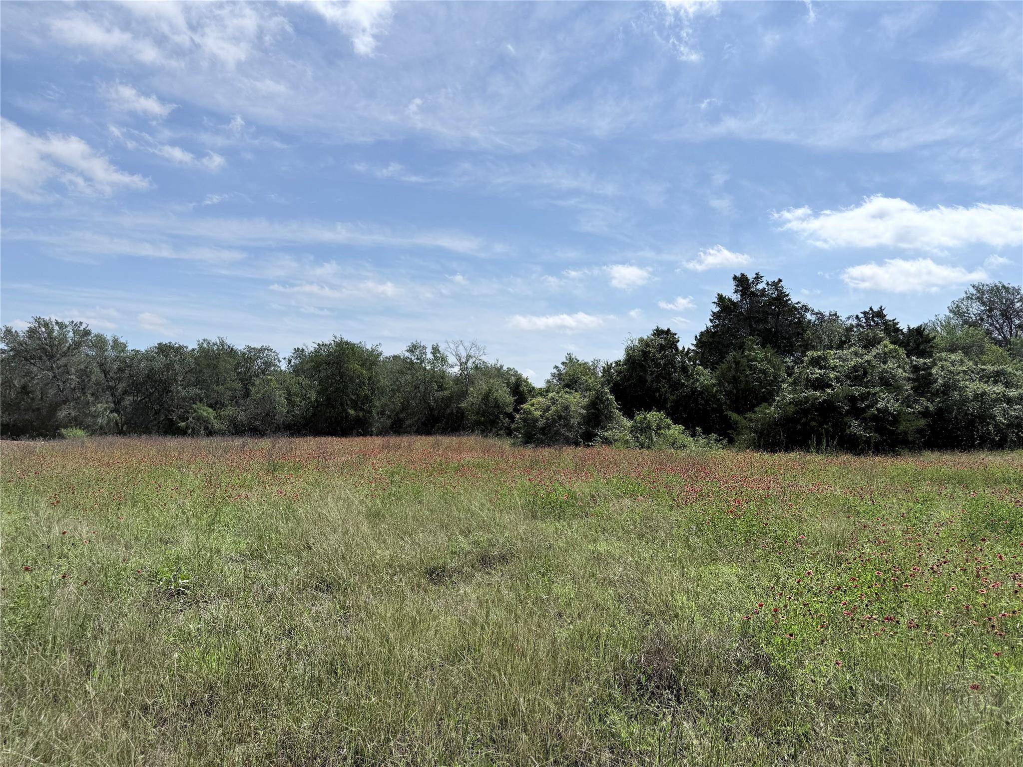 1880 Fm 2571, Smithville, TX 78957