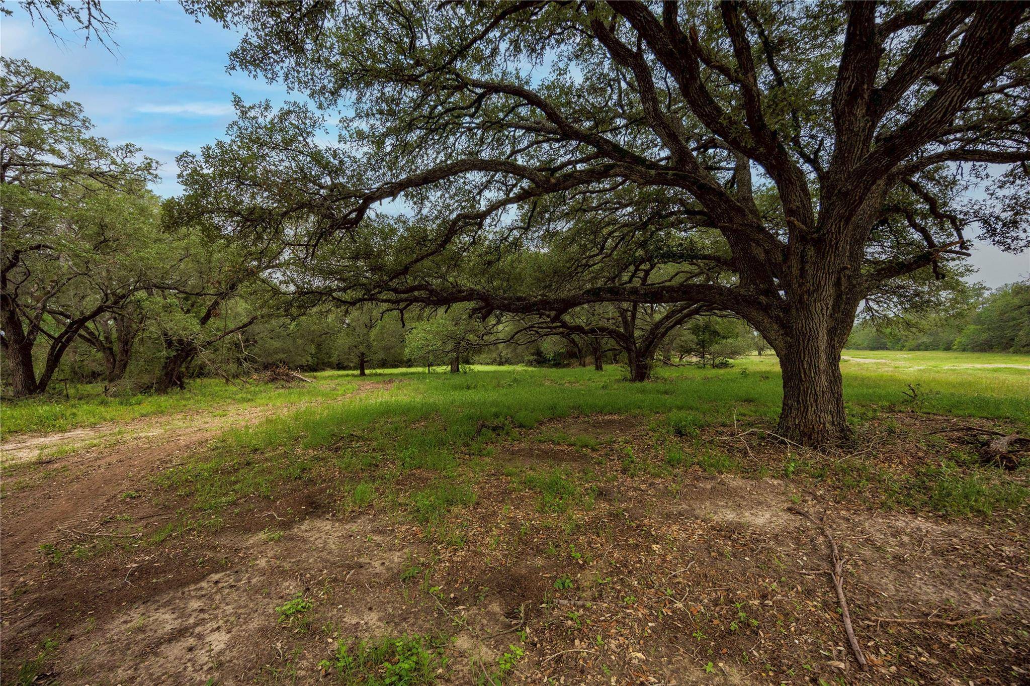 2570 Burke RD, Flatonia, TX 78941