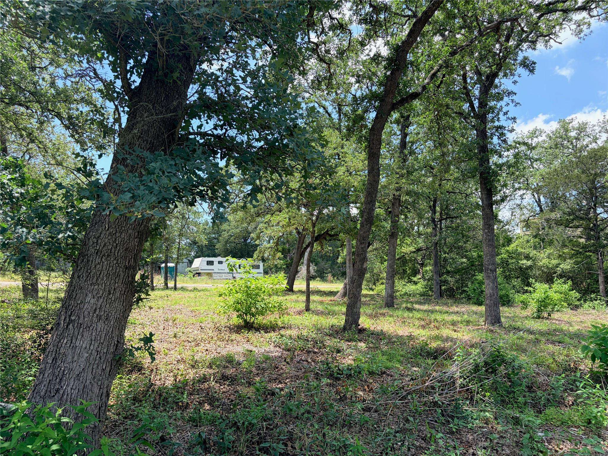 Lots-90/91 Arapaho DR, Smithville, TX 78957