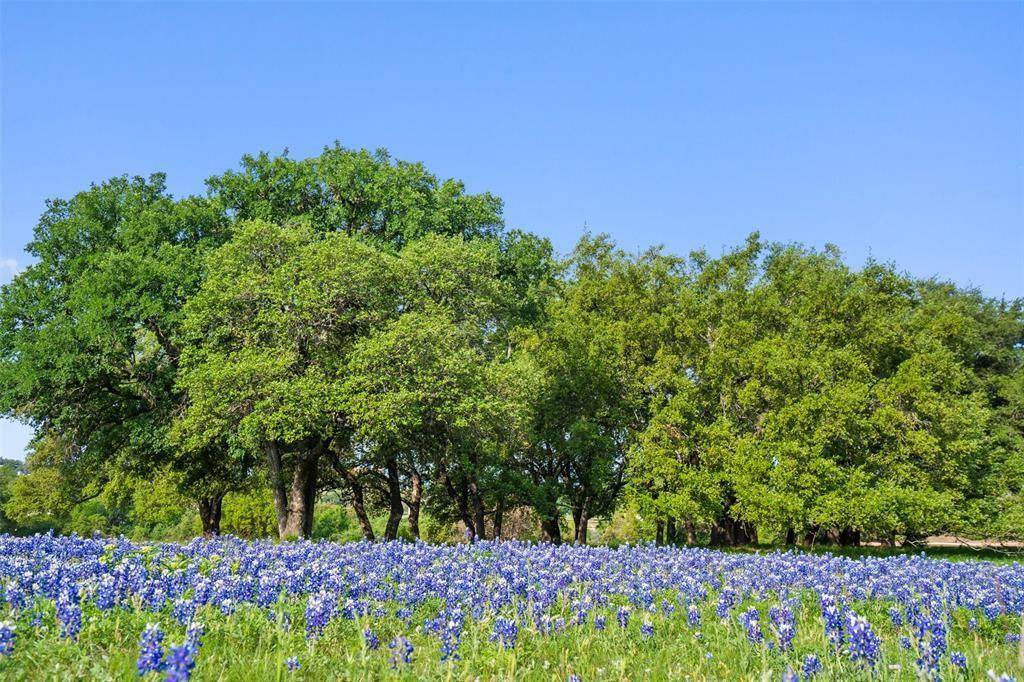 27132 Founders PL, Spicewood, TX 78669
