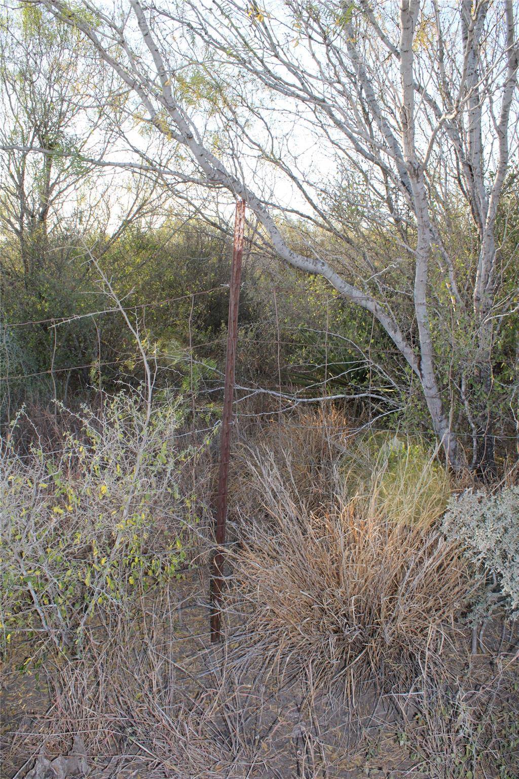 0000 CR 339, Jourdanton, TX 78026