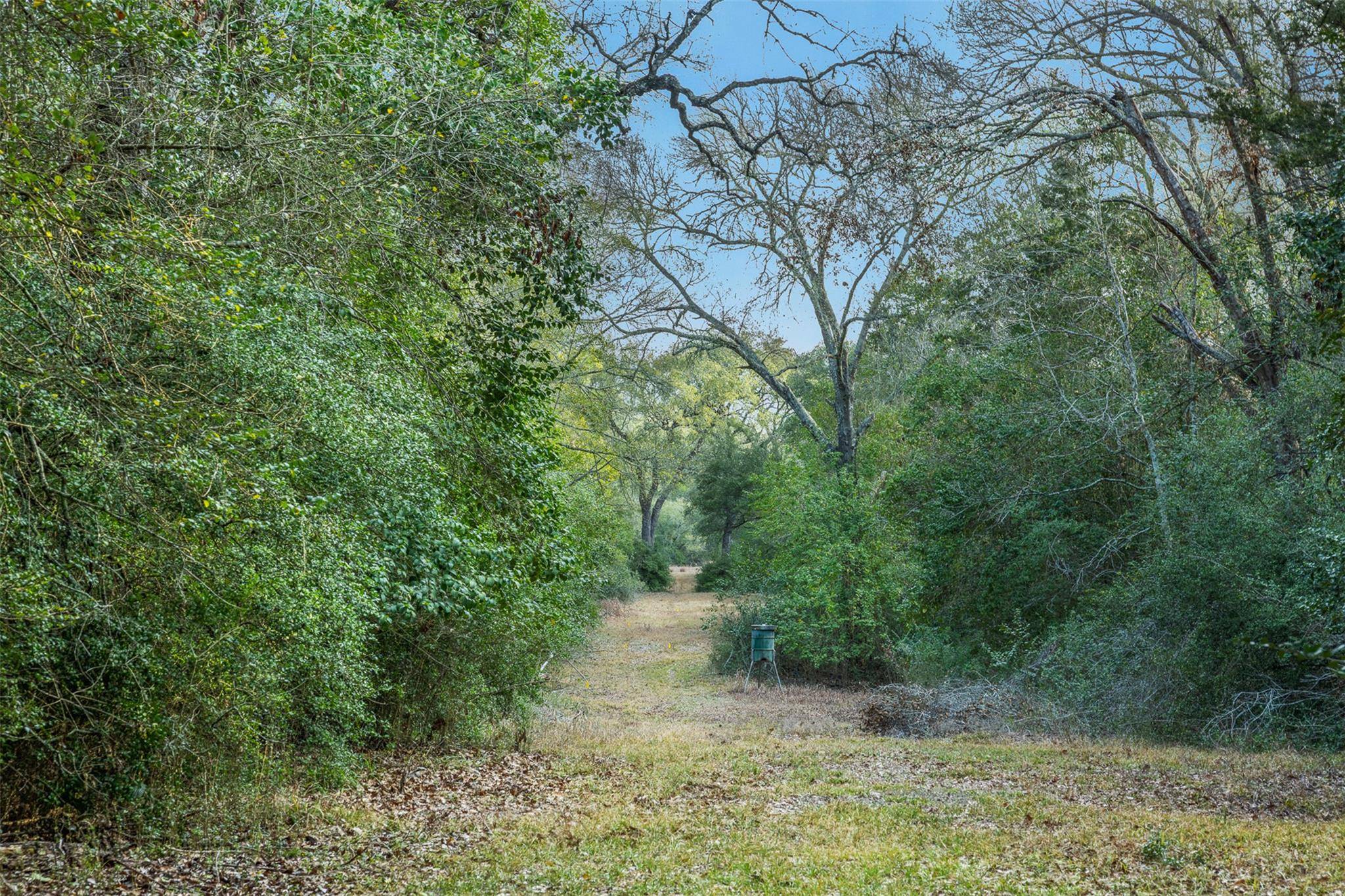 1200 Highway 71 BYP, La Grange, TX 78945