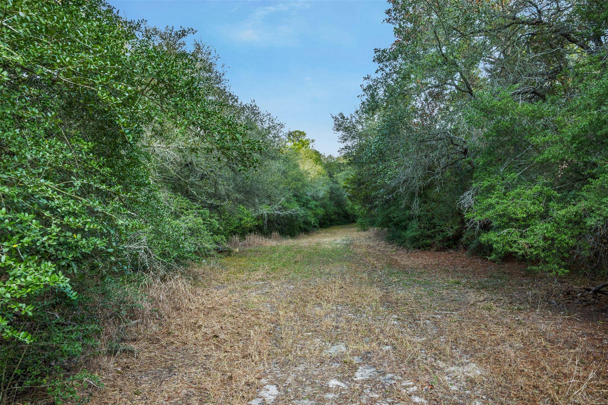 1200 Highway 71 BYP, La Grange, TX 78945