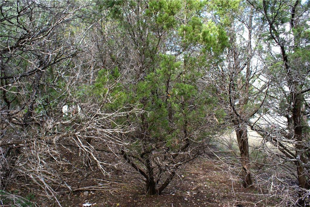 Lot 31 Panorama DR, Dripping Springs, TX 78620