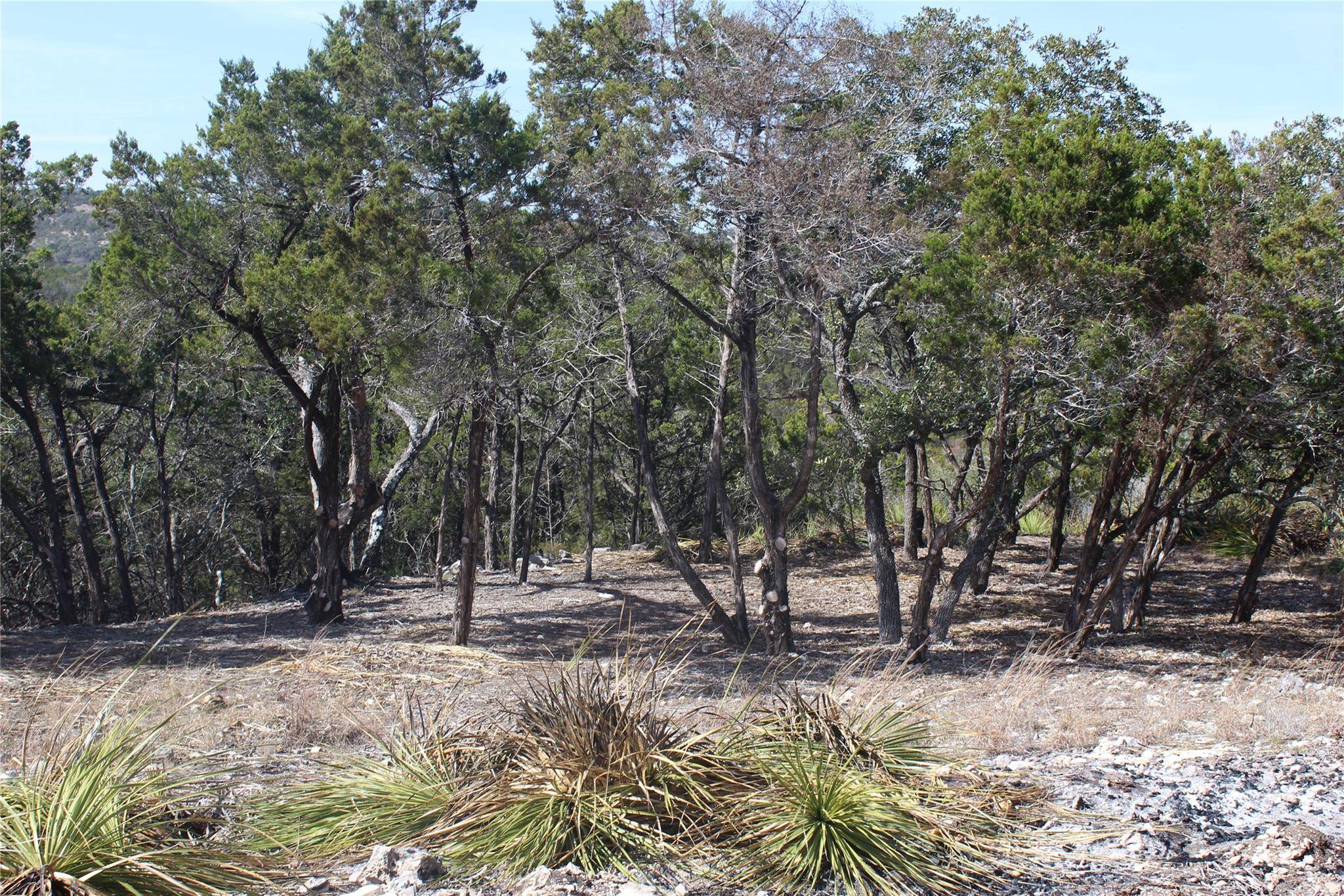 2102 Montell RD, Wimberley, TX 78676
