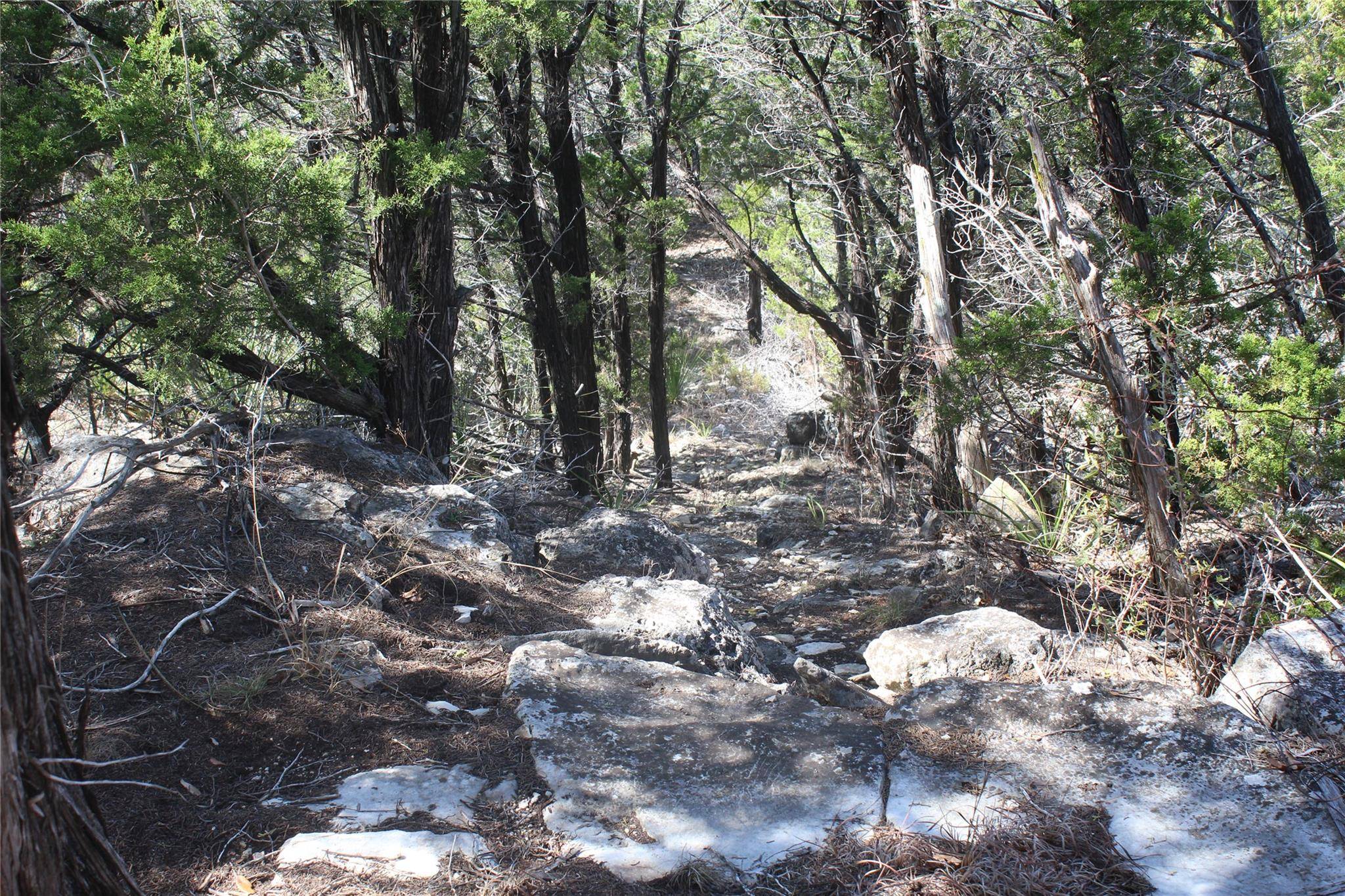 2102 Montell RD, Wimberley, TX 78676