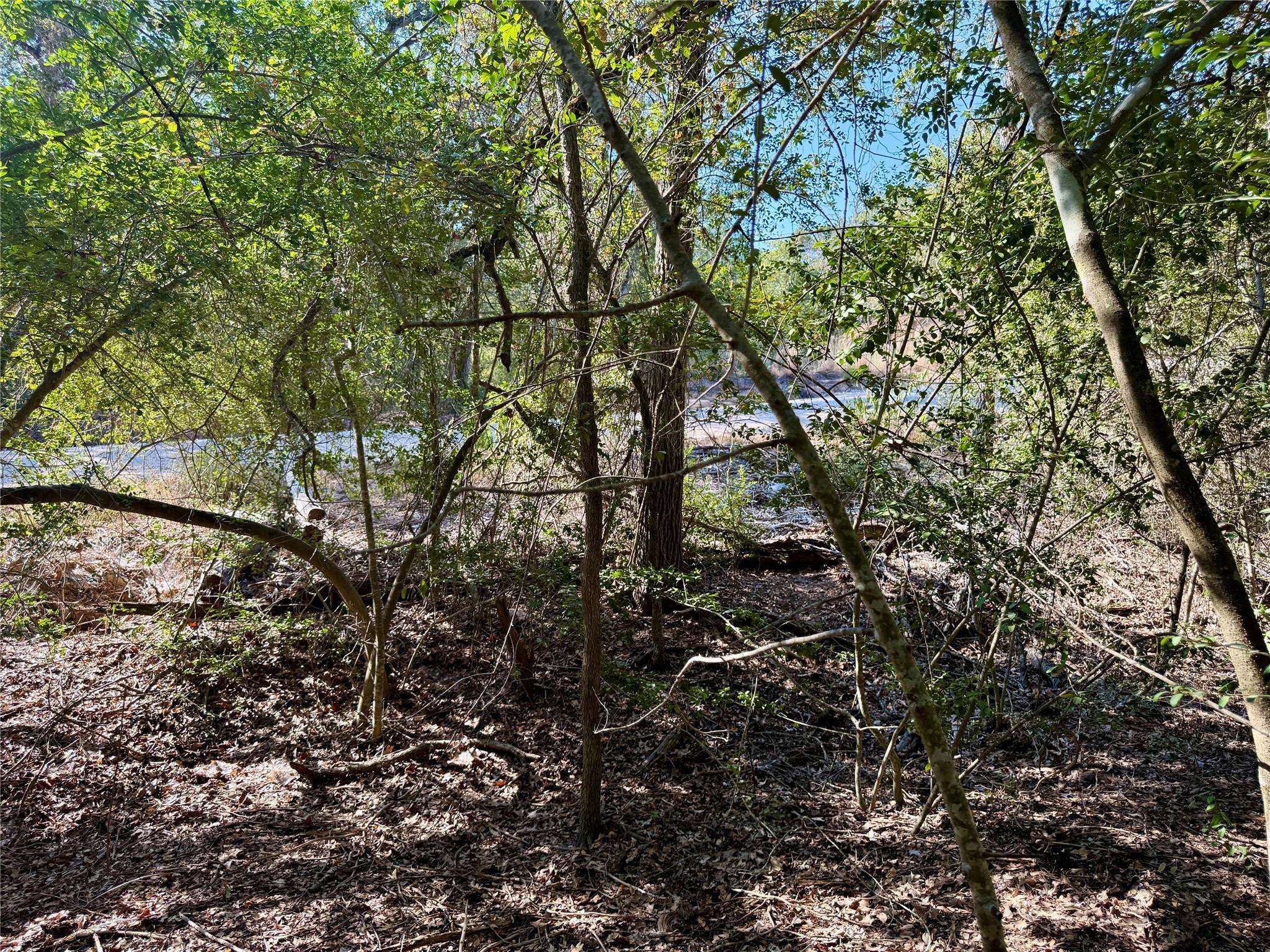 TBD Lot 1233 Hanauma DR, Bastrop, TX 78602