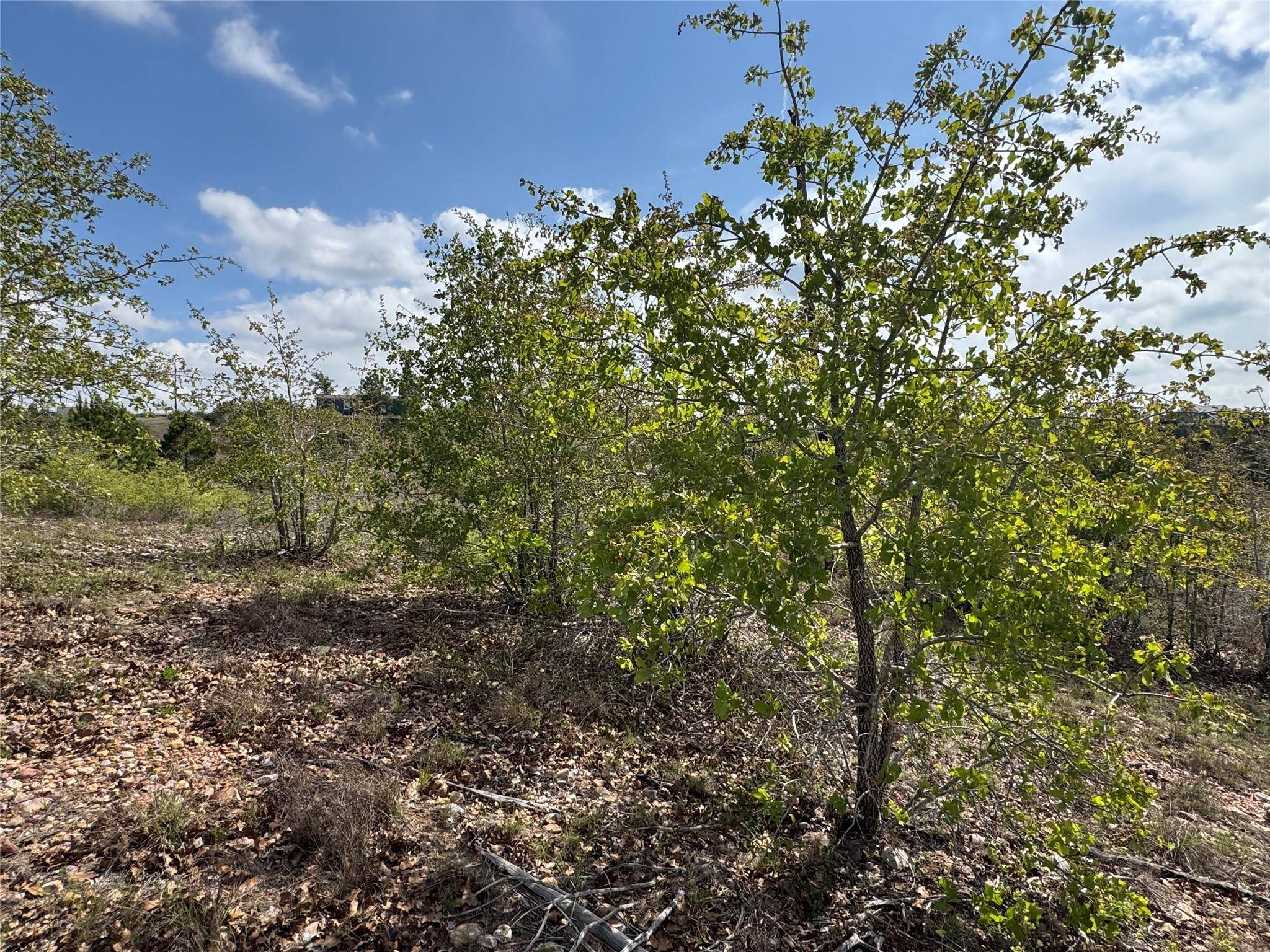 TBD Hudson RD, Smithville, TX 78957