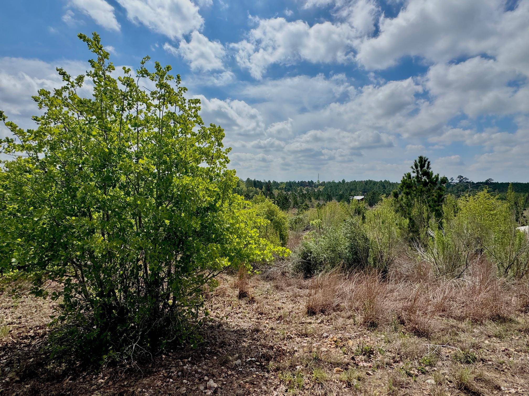 TBD Hudson RD, Smithville, TX 78957