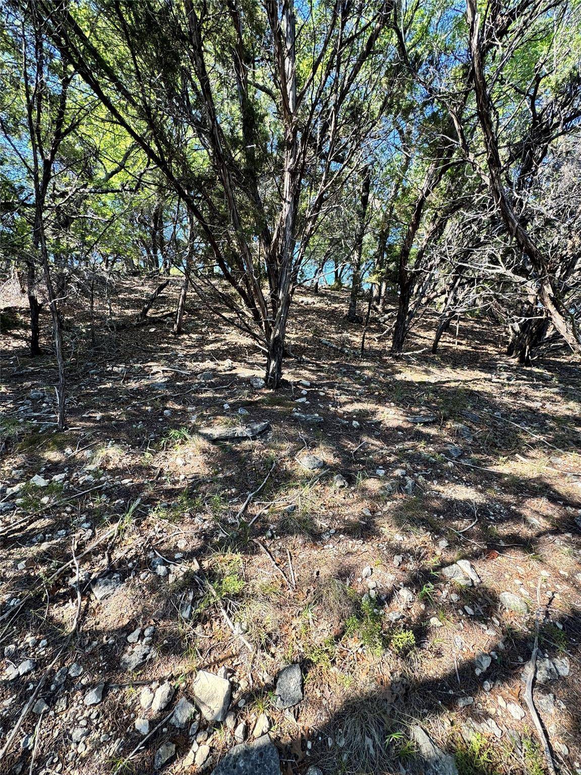 7921 Folklore CIR, Leander, TX 78645