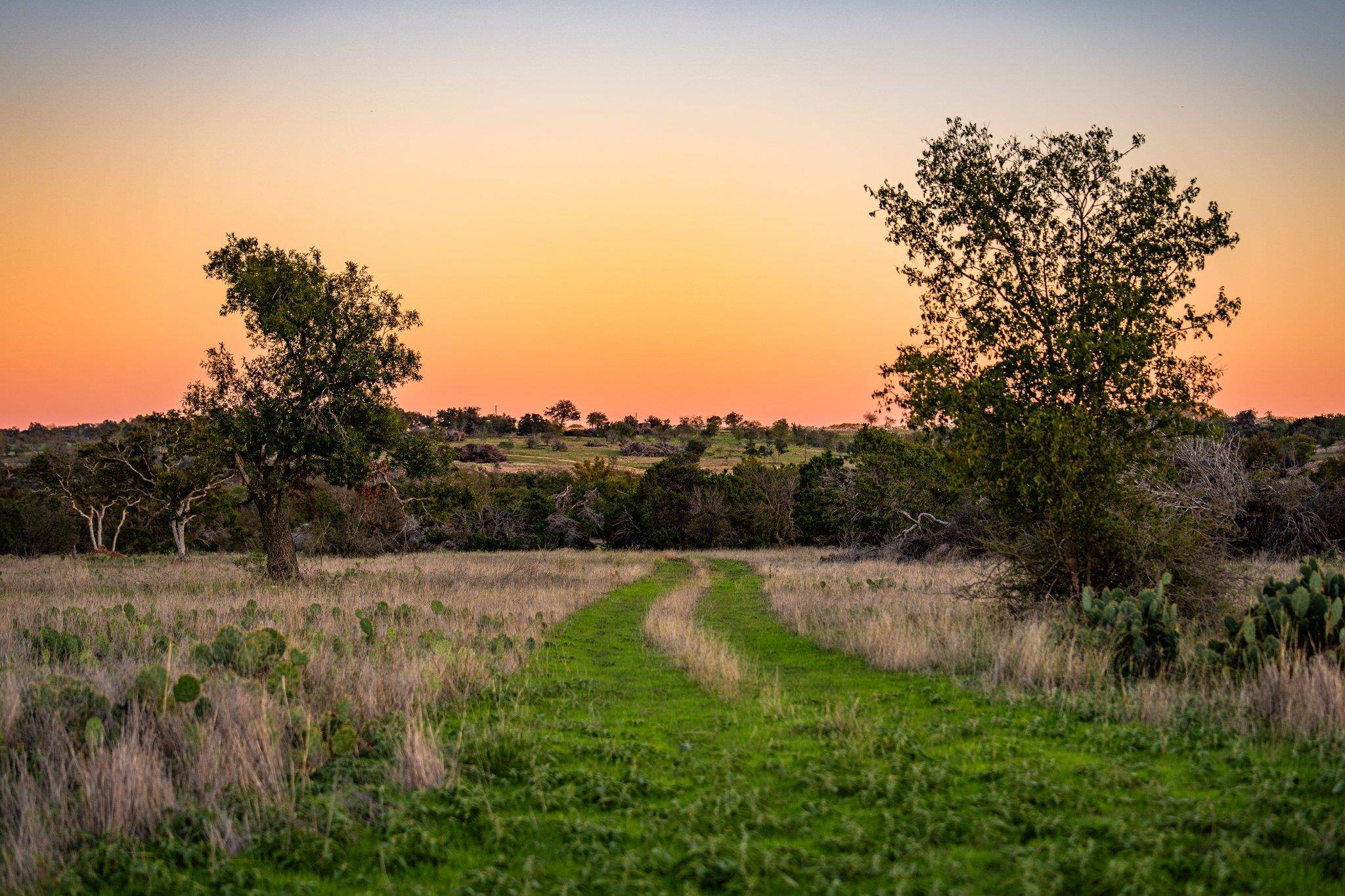 00 F-M 2843, Salado, TX 76571