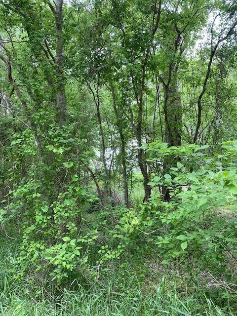 Lot 812 Kaukonahua LN, Bastrop, TX 78602