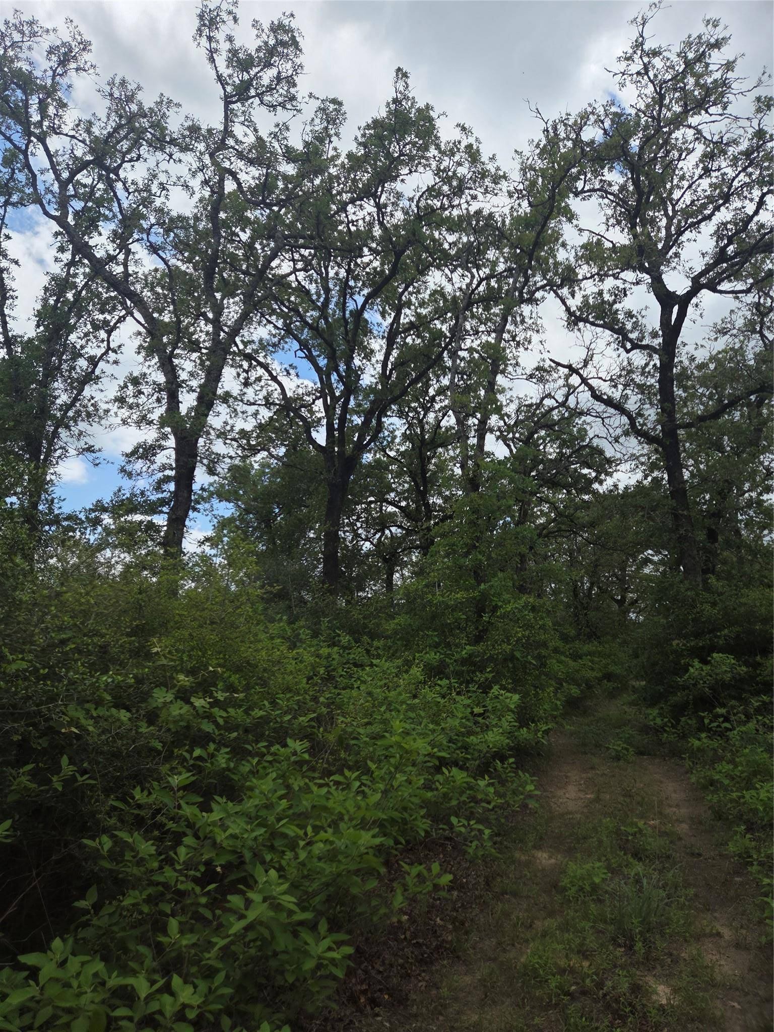 5345 Hwy 36, Milano, TX 76556