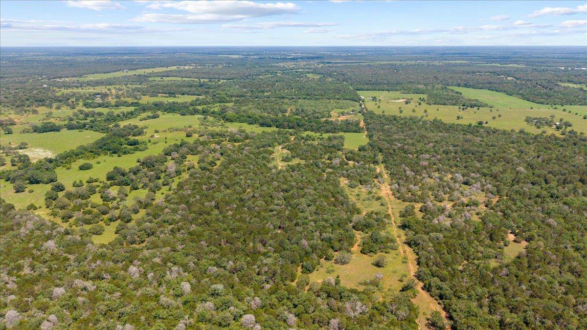 1648 Jeddo RD, Rosanky, TX 78953