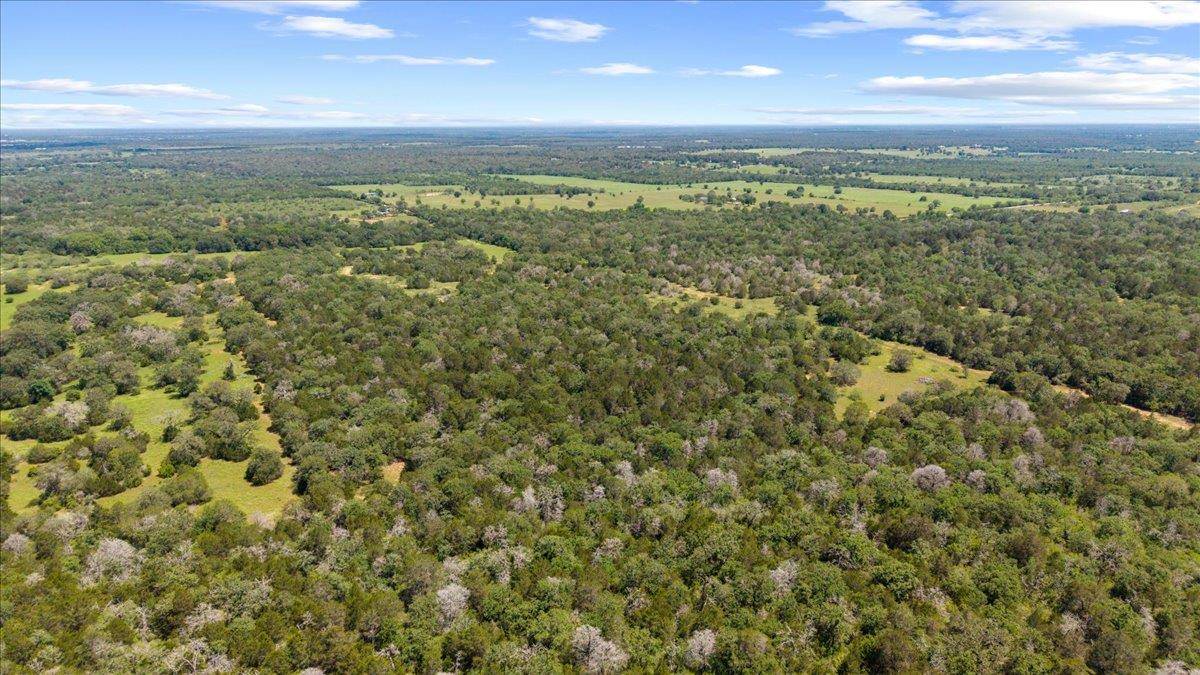 1648 Jeddo RD, Rosanky, TX 78953