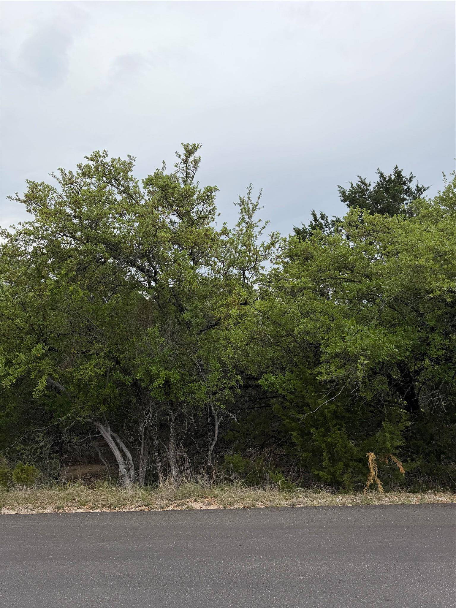21408 Paine Ave, Lago Vista, TX 78645