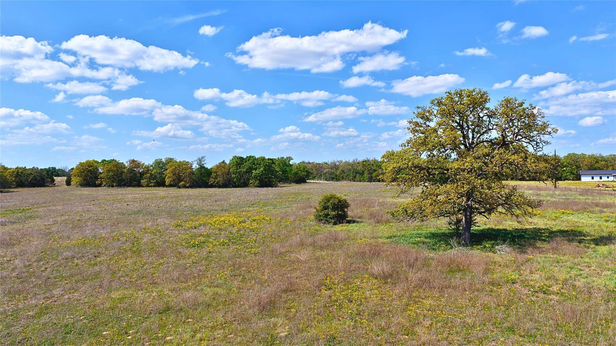 TBD Legacy Road (5.41 Acres), Caldwell, TX 77836