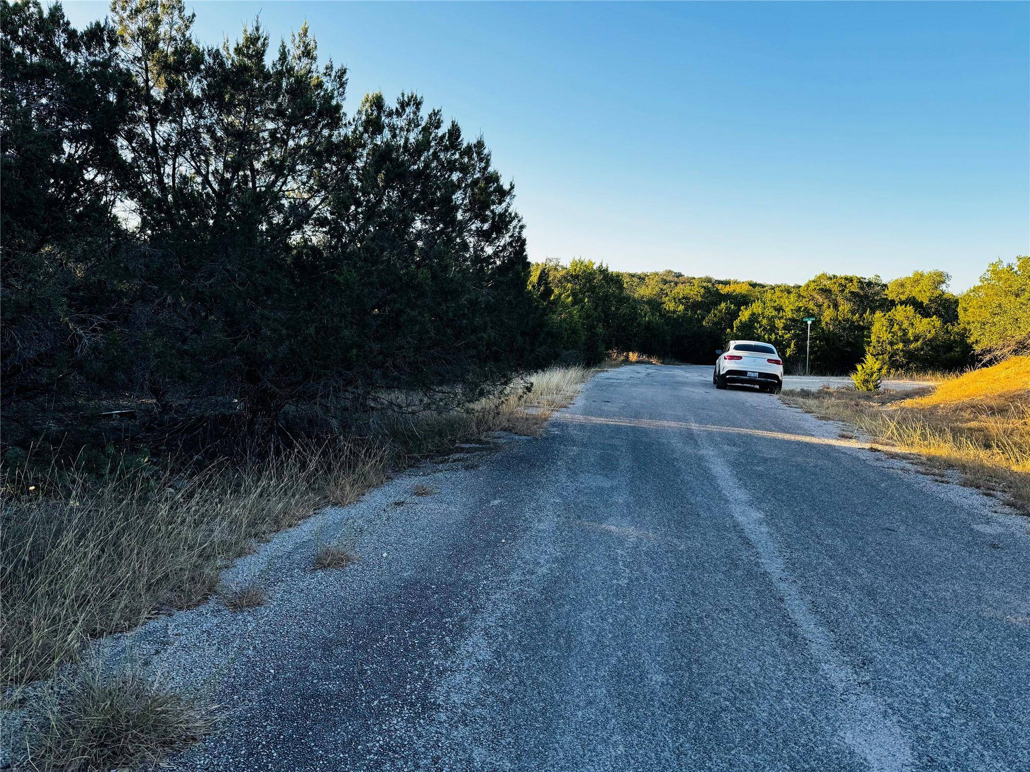21448 Santa Rosa Ave, Lago Vista, TX 78645