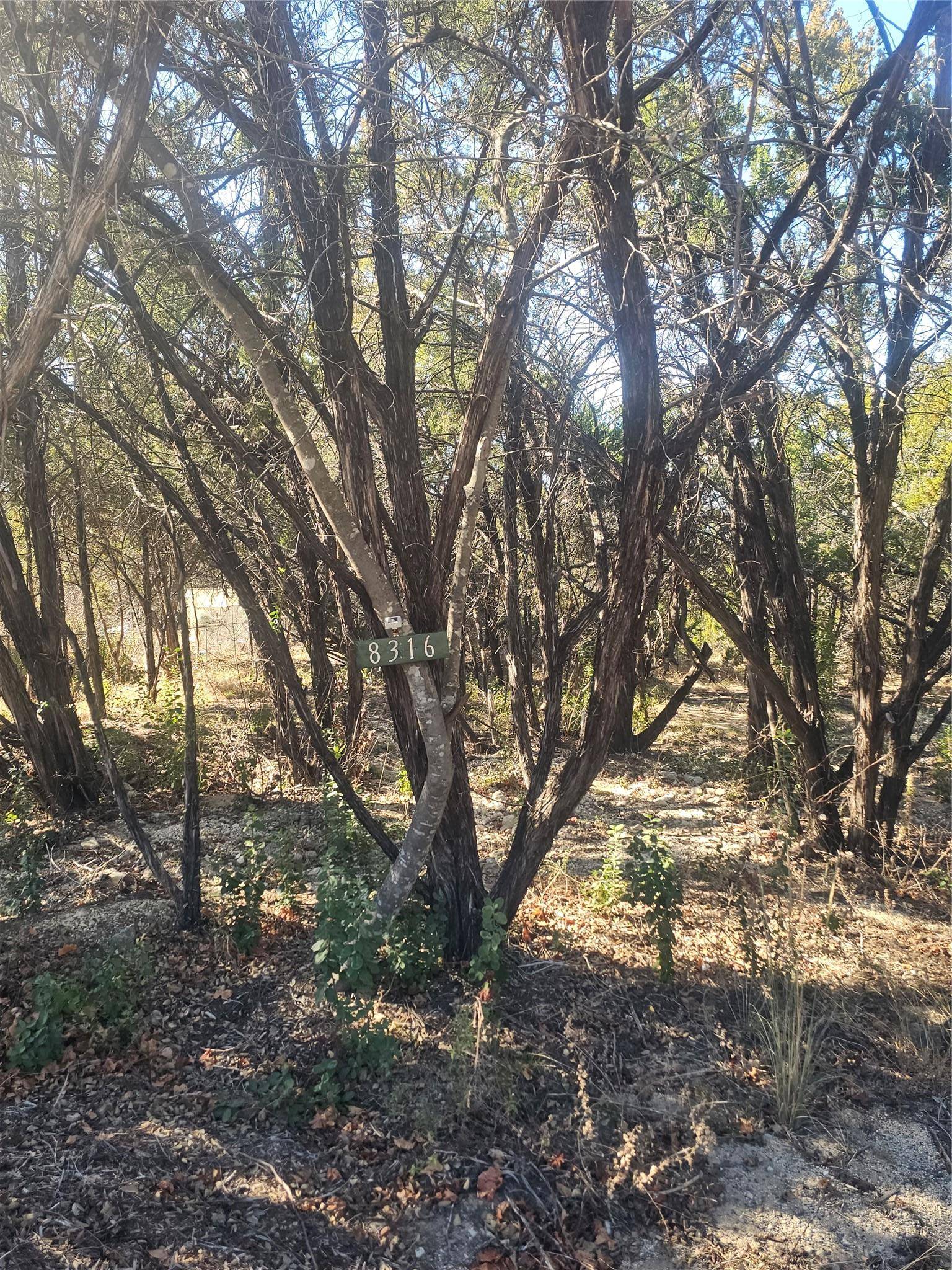 8316 Bronco LN, Lago Vista, TX 78645