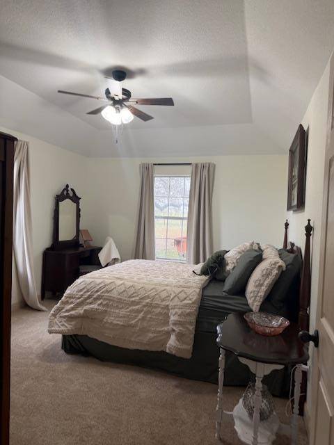 100 County Road 423, Stockdale, TX 78160