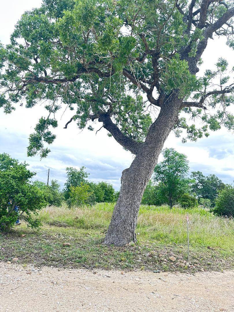 136A Wild Bird LOOP, Smithville, TX 78957