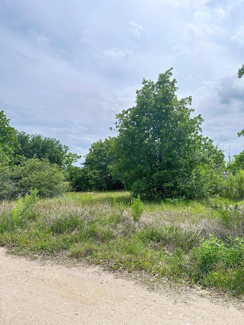 136A Wild Bird LOOP, Smithville, TX 78957