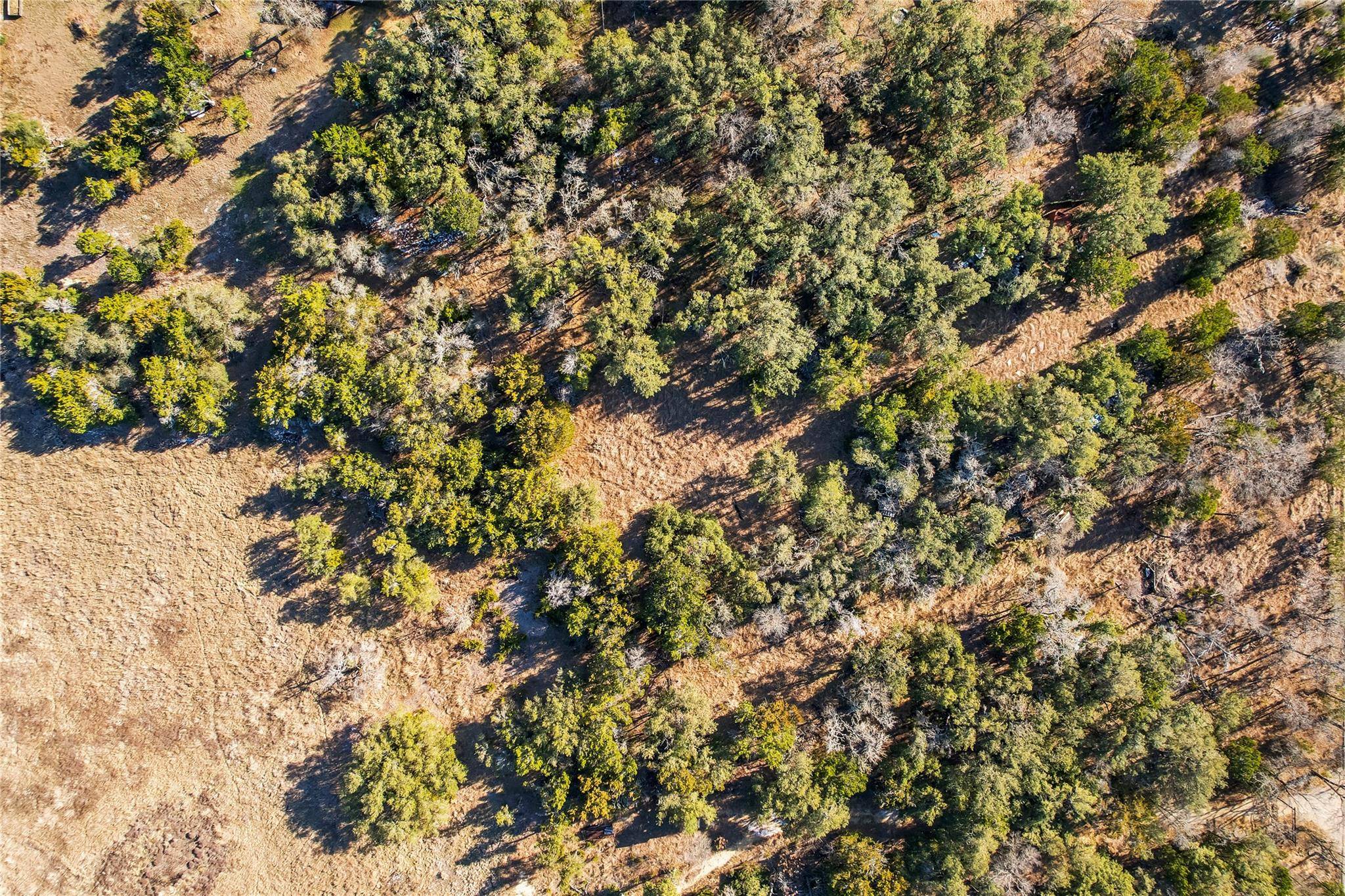 430 County Road 220, Florence, TX 76527