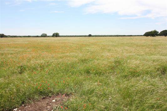 1115 Tract 2 - County Road 204, Burnet, TX 78611
