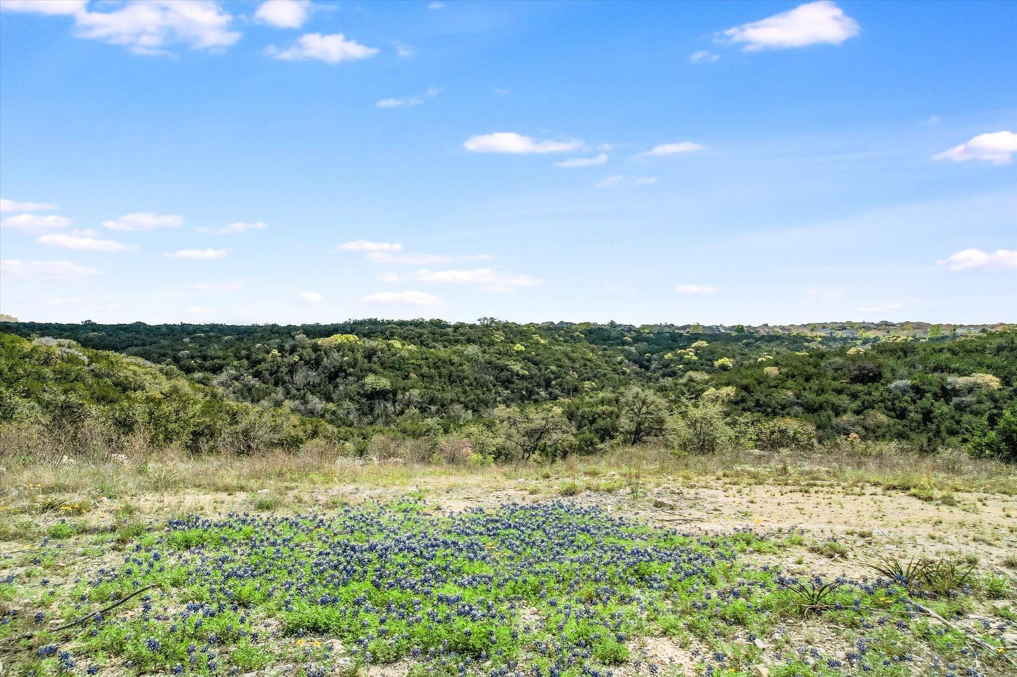 15099 Strader CIR, Lakeway, TX 78734