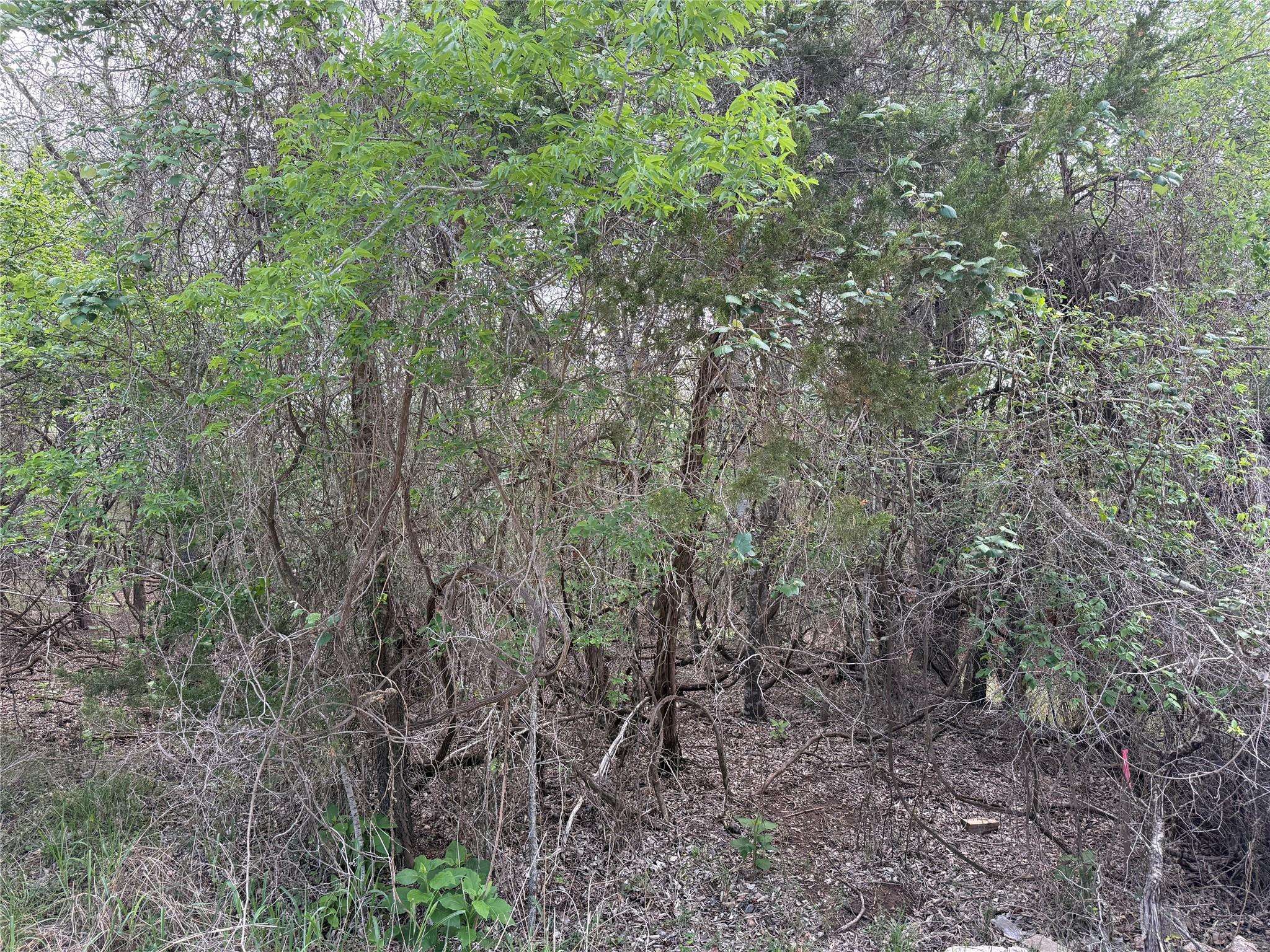 305 Nene LN, Bastrop, TX 78602