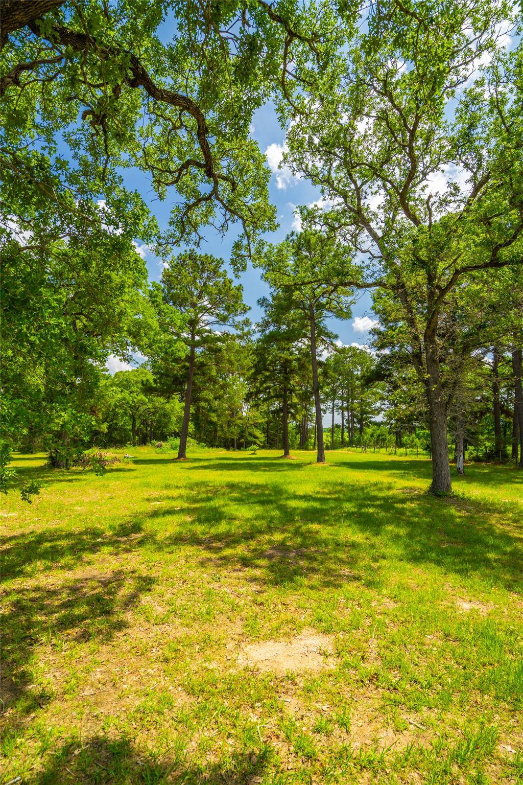 677 Old Antioch RD, Smithville, TX 78957