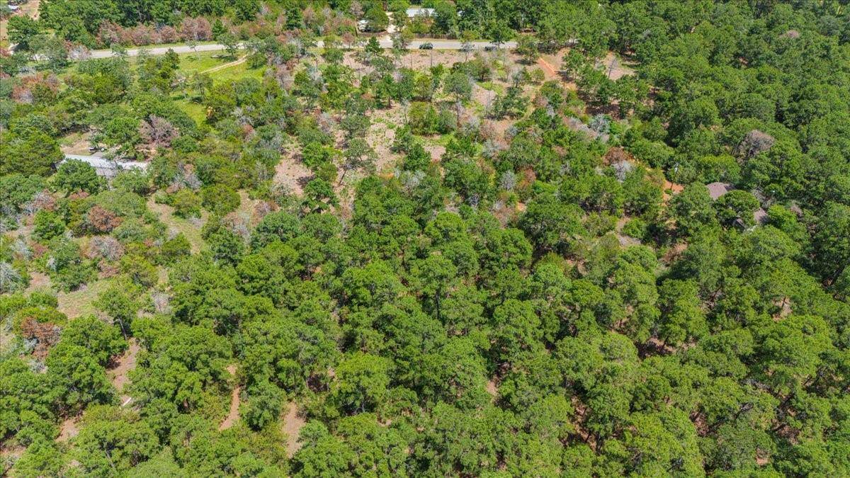 000 Pine Valley LOOP, Smithville, TX 78957