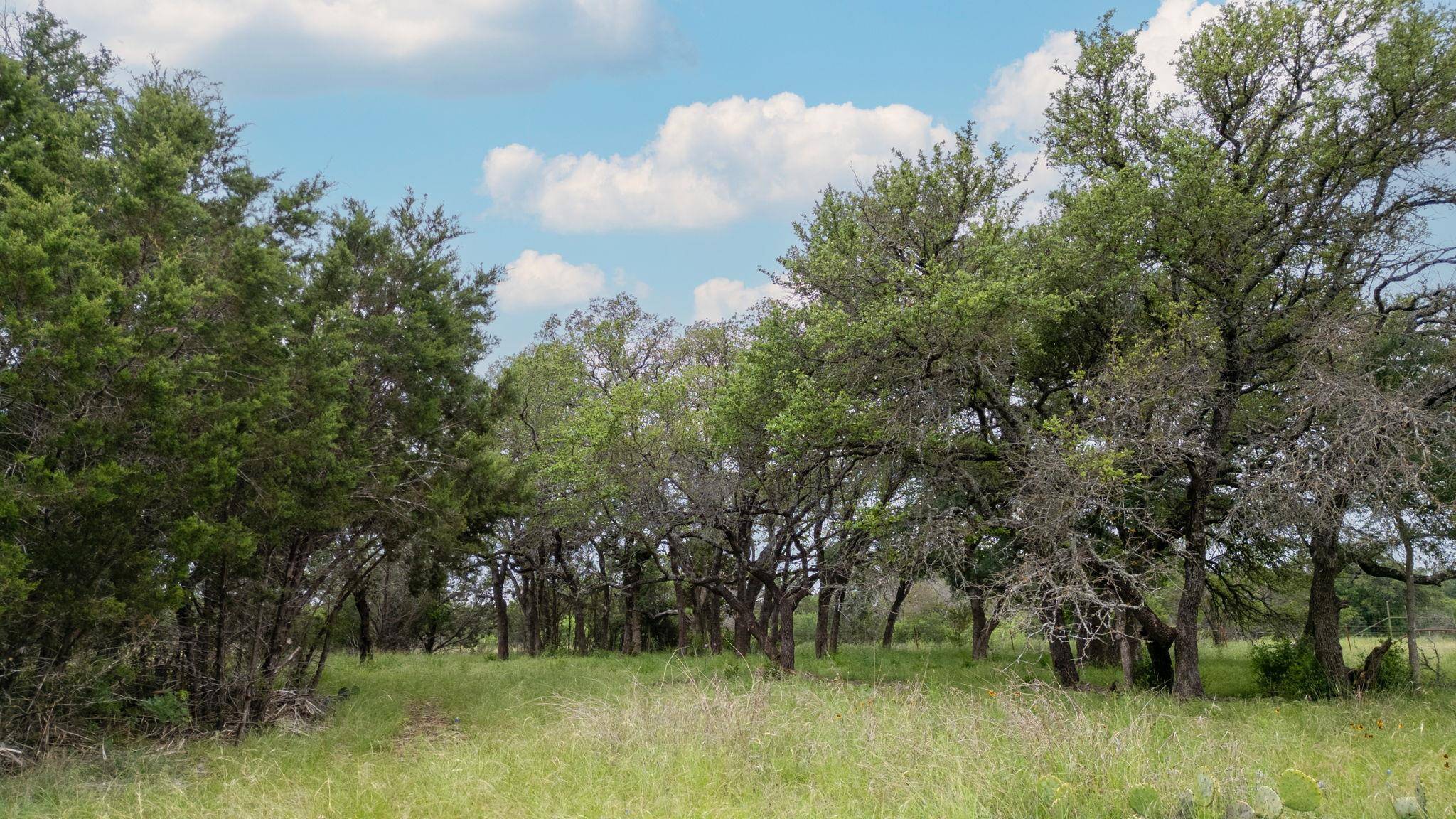 Private Road 1377, Lampasas, TX 76550