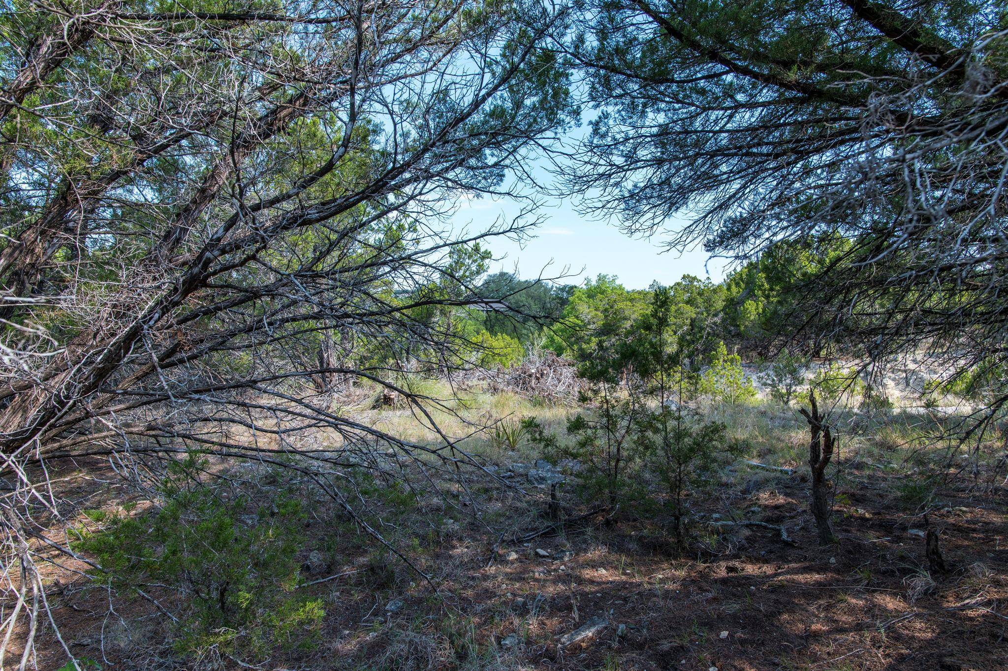 20011 Colonial LN, Lago Vista, TX 78645