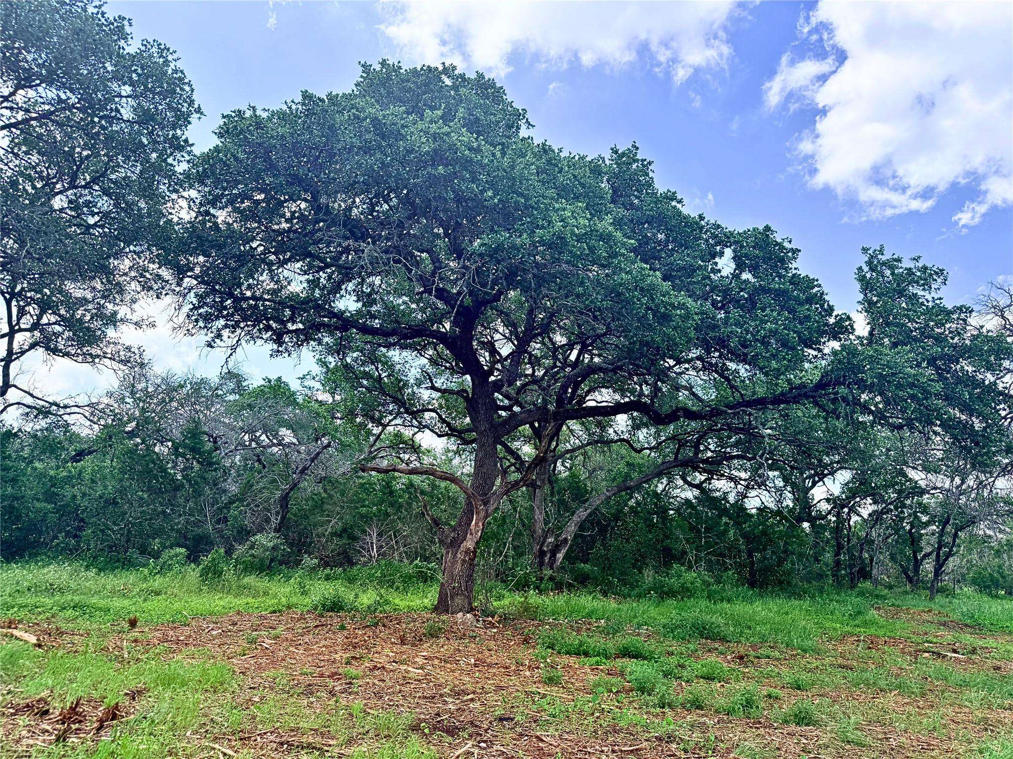 2013 Hilliard RD, San Marcos, TX 78666