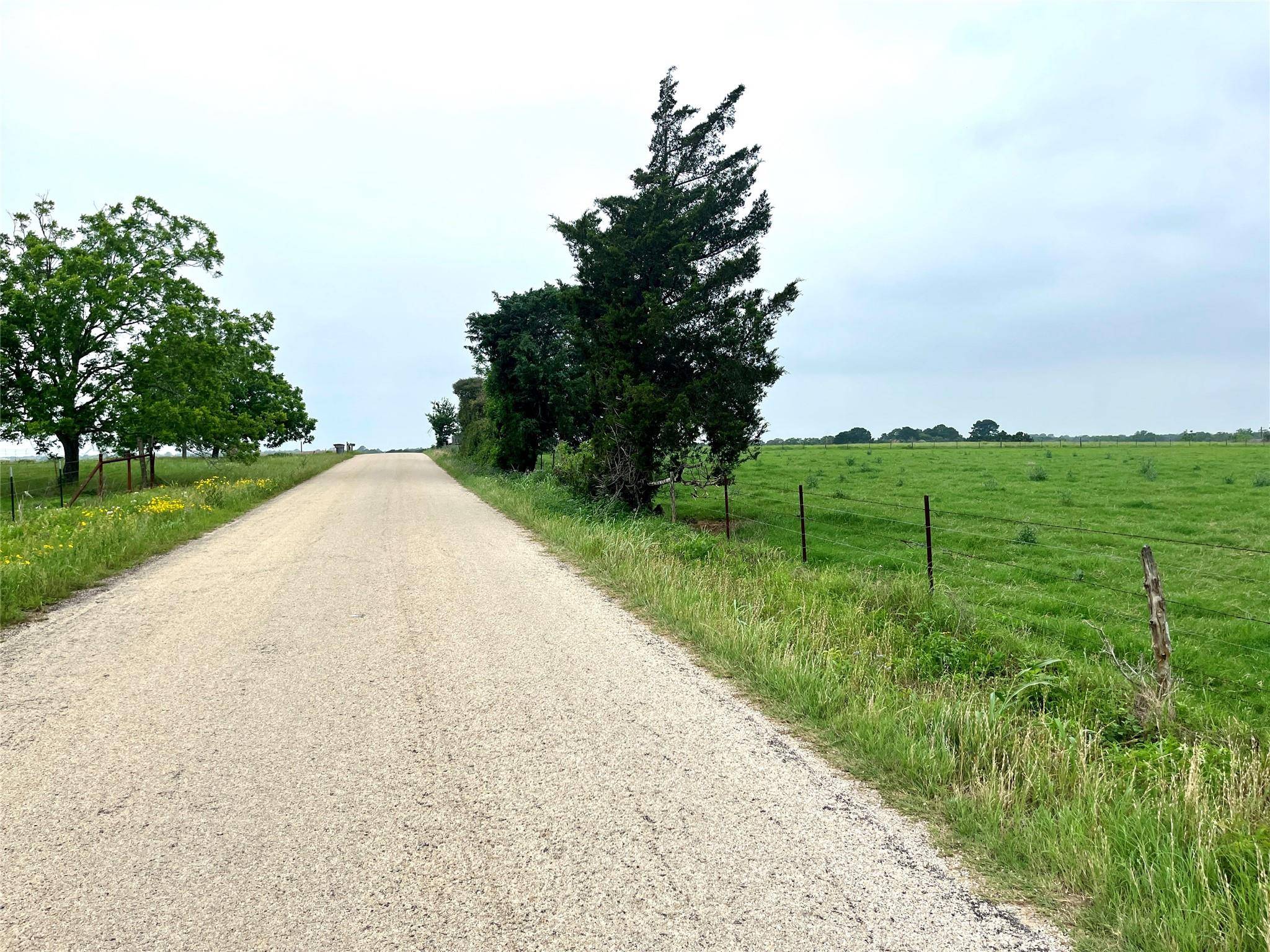 5.556 acres Farris Lane LN, Smithville, TX 78957