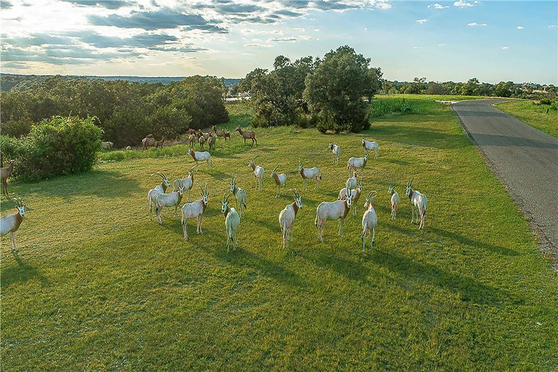 Lot 129 & 130 Lynx Cove RD, Blanco, TX 78606