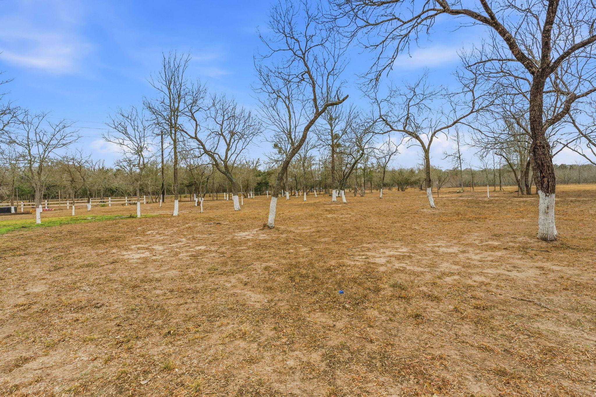 1278 Fm 812 RD, Cedar Creek, TX 78612